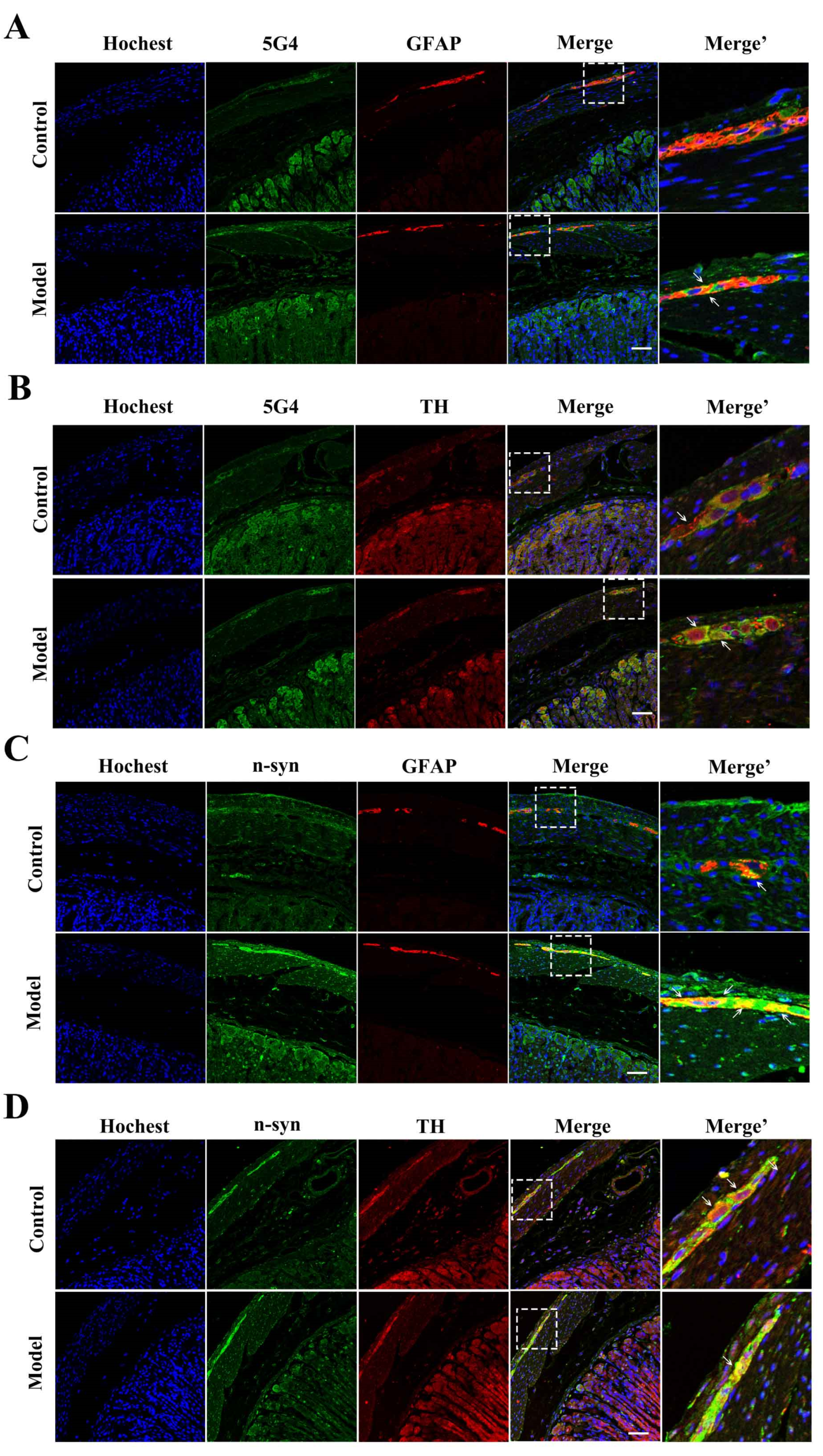Molecules 27 07414 g004