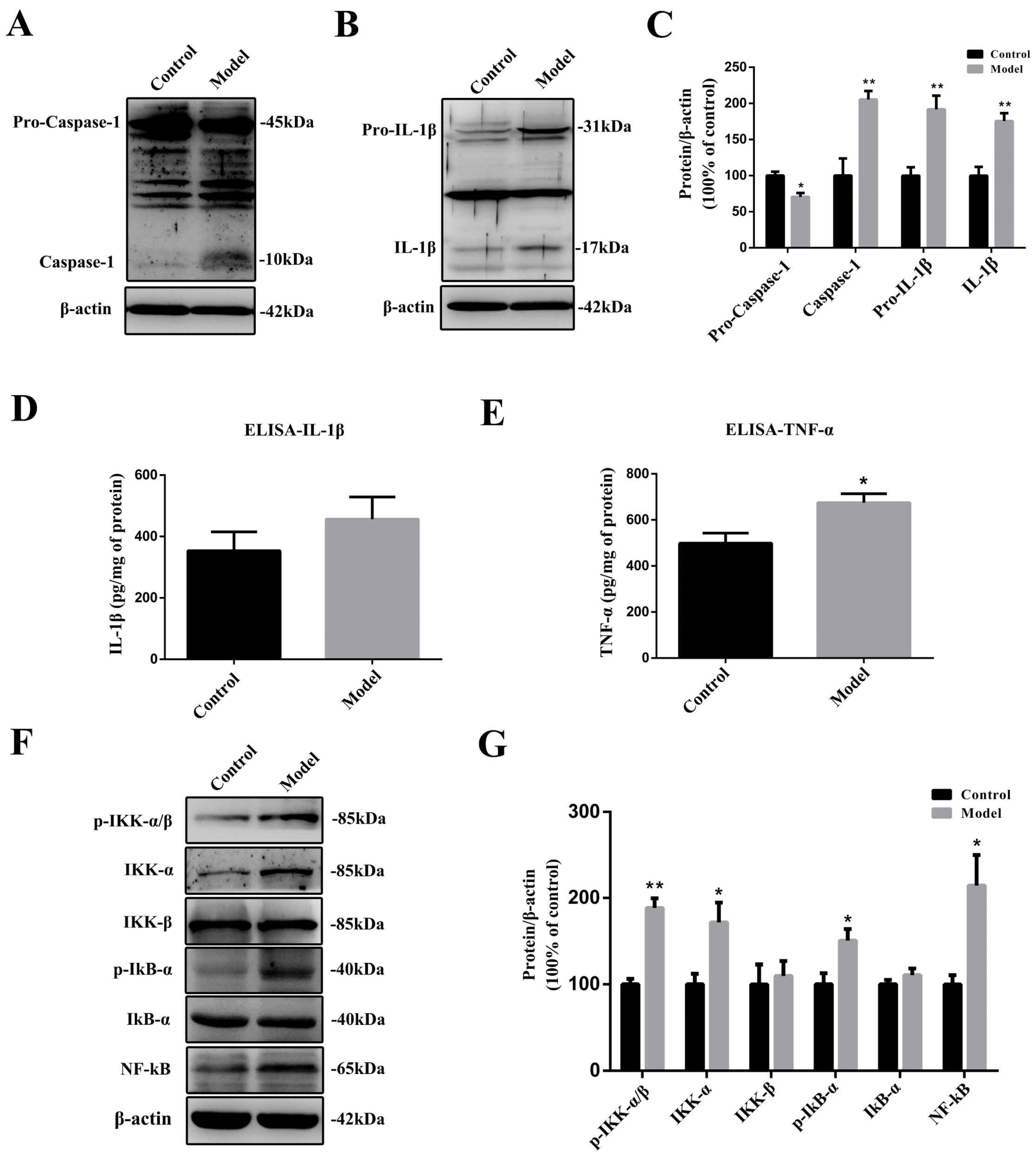Molecules 27 07414 g006
