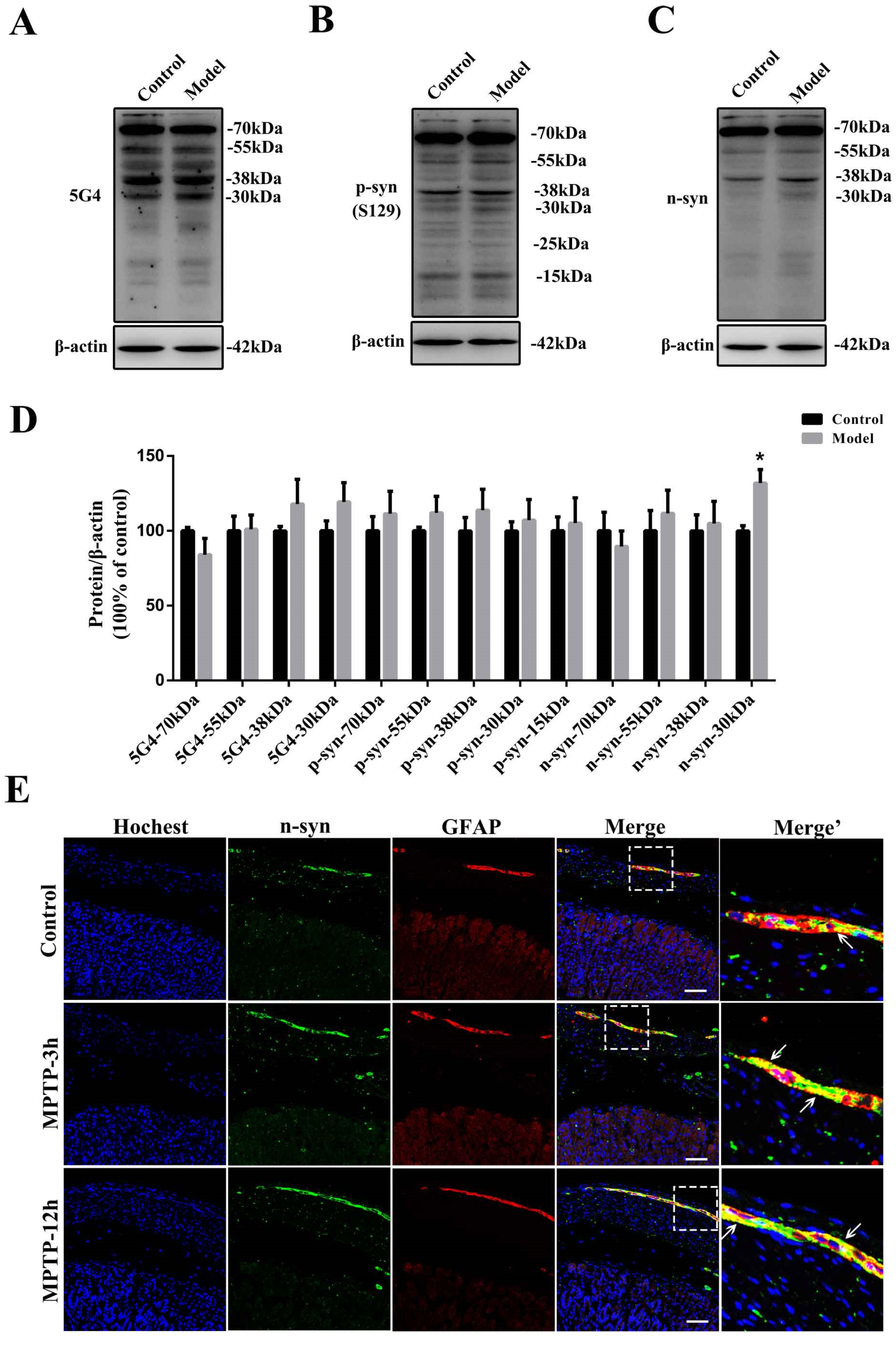 Molecules 27 07414 g010