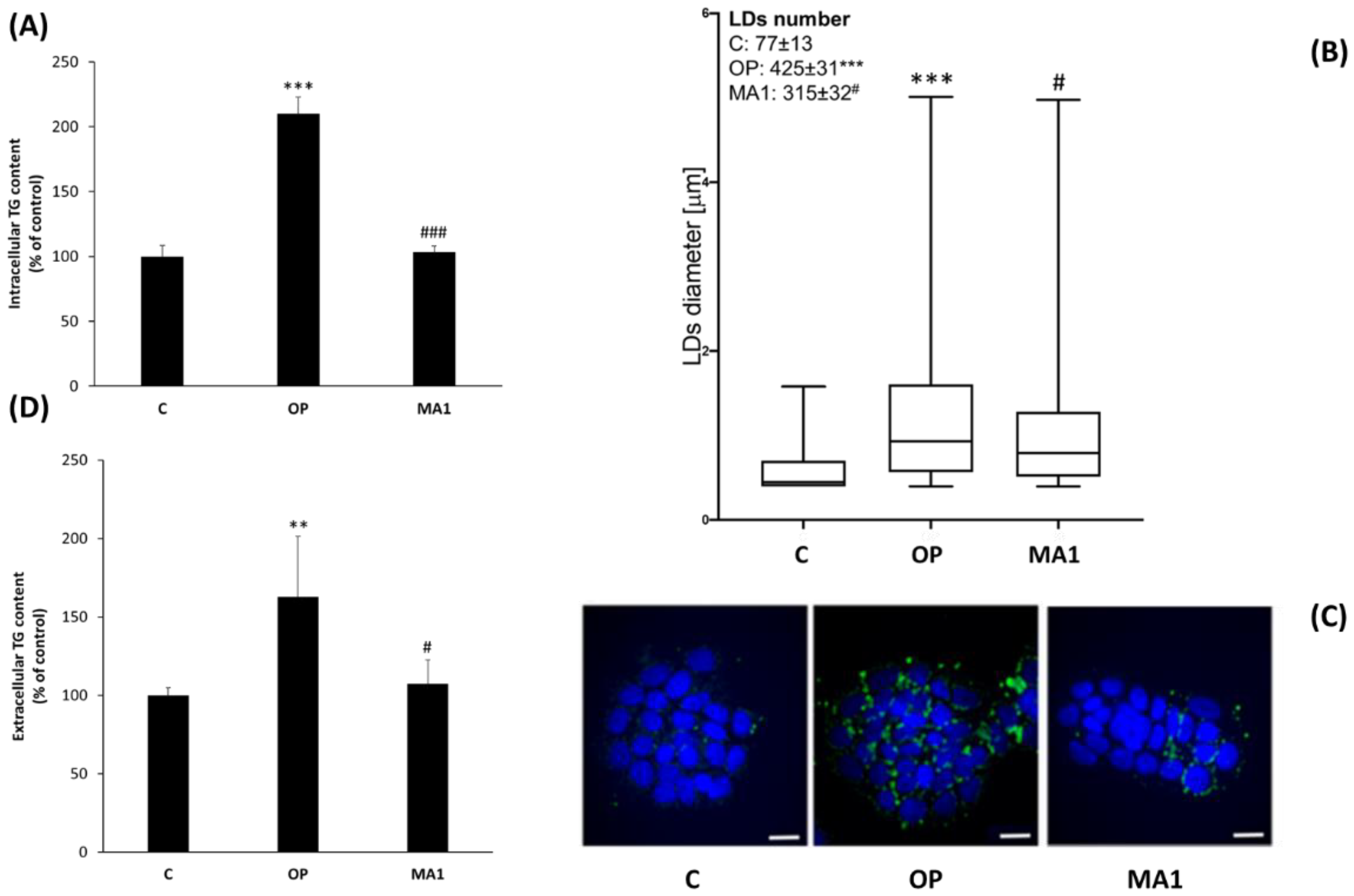 Molecules 27 07417 g002