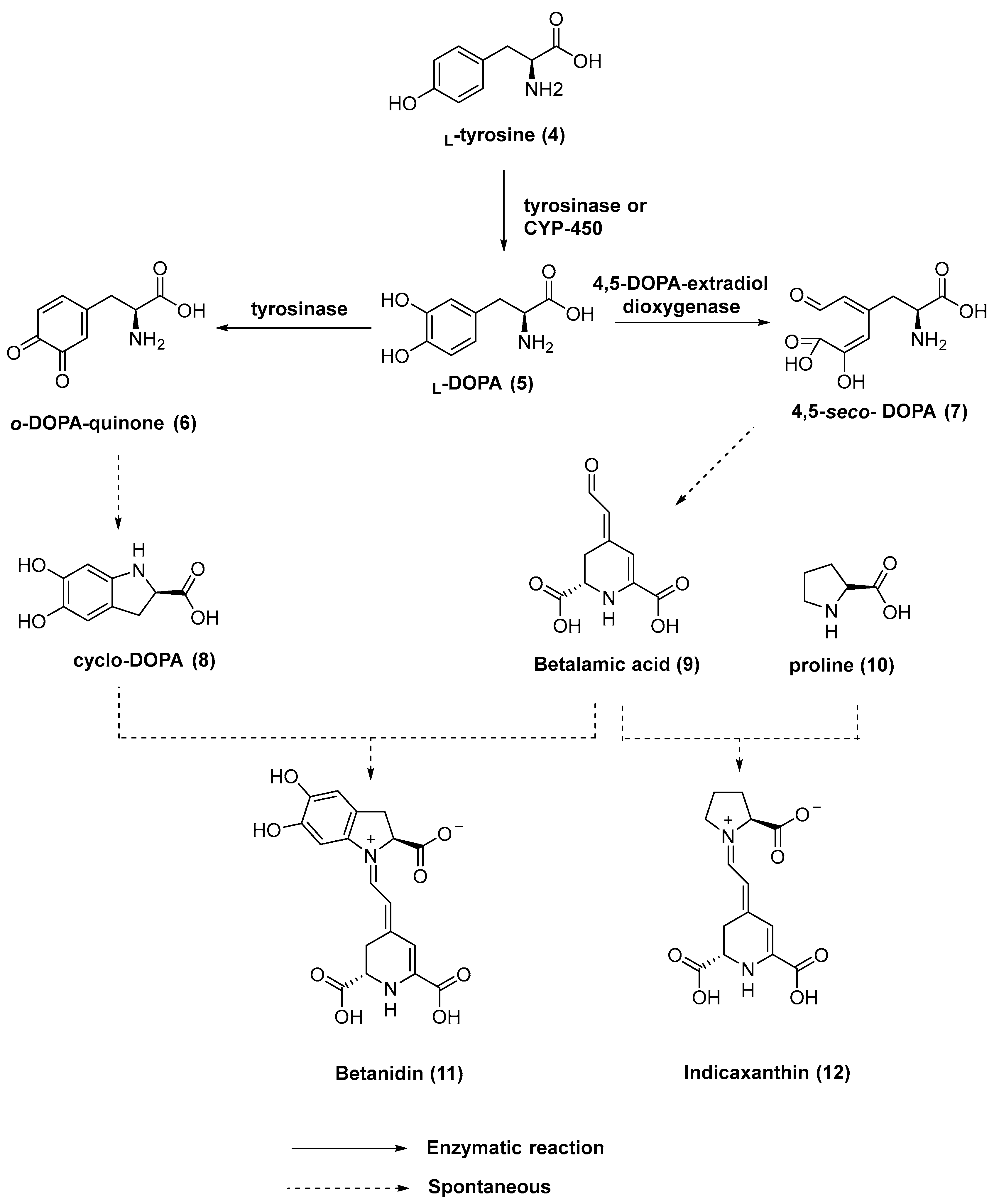 Molecules 27 07423 g002 Molecules 27 07423 g002