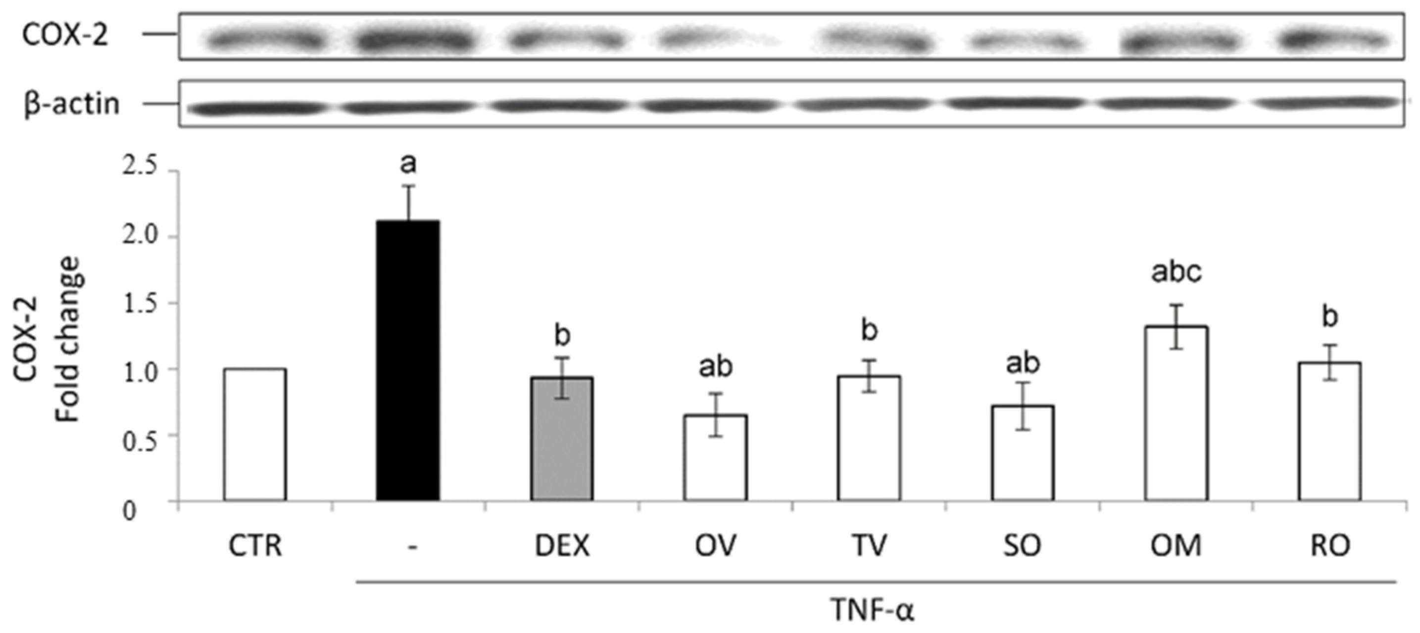 Molecules 27 07427 g006