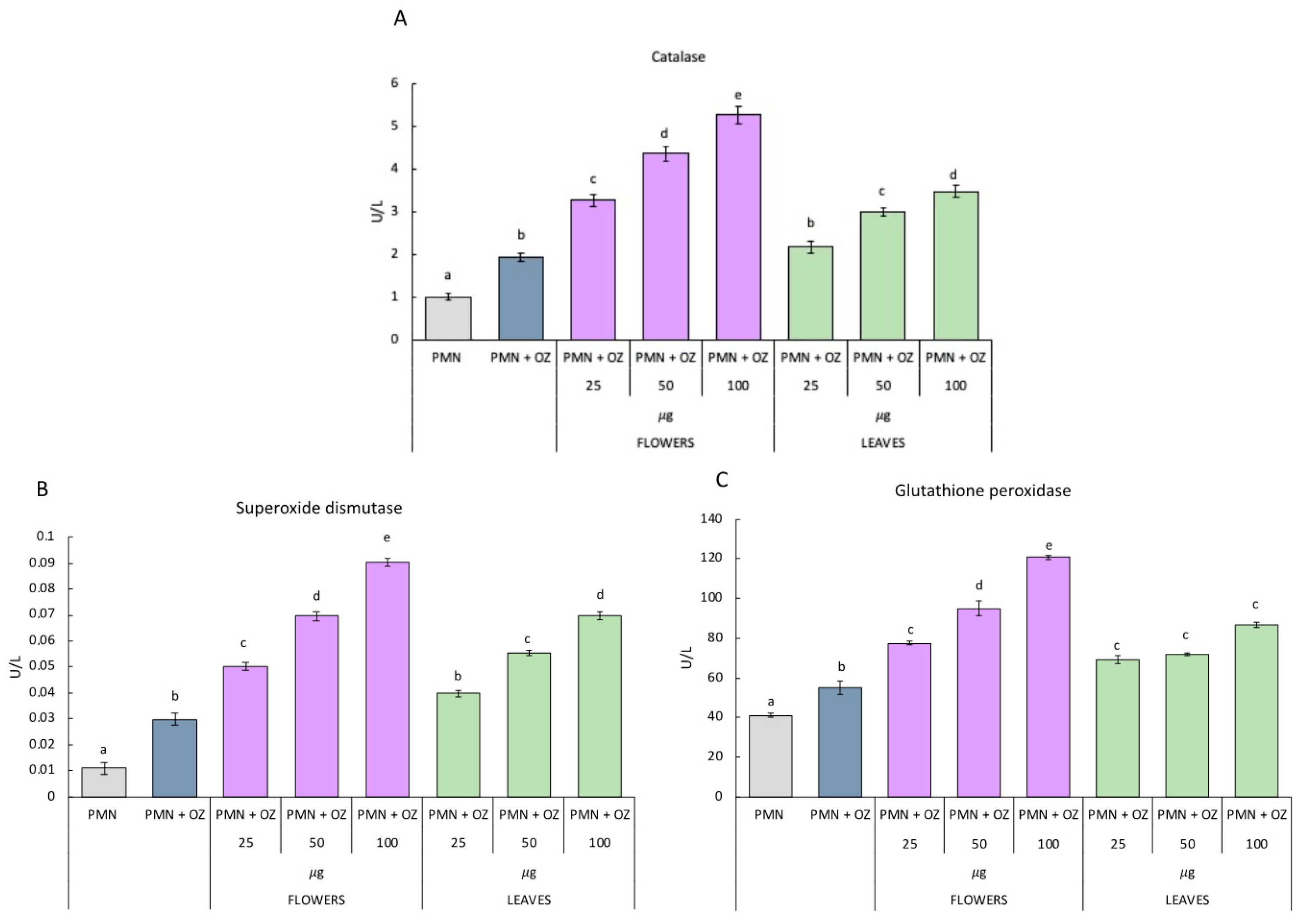Molecules 27 07430 g004