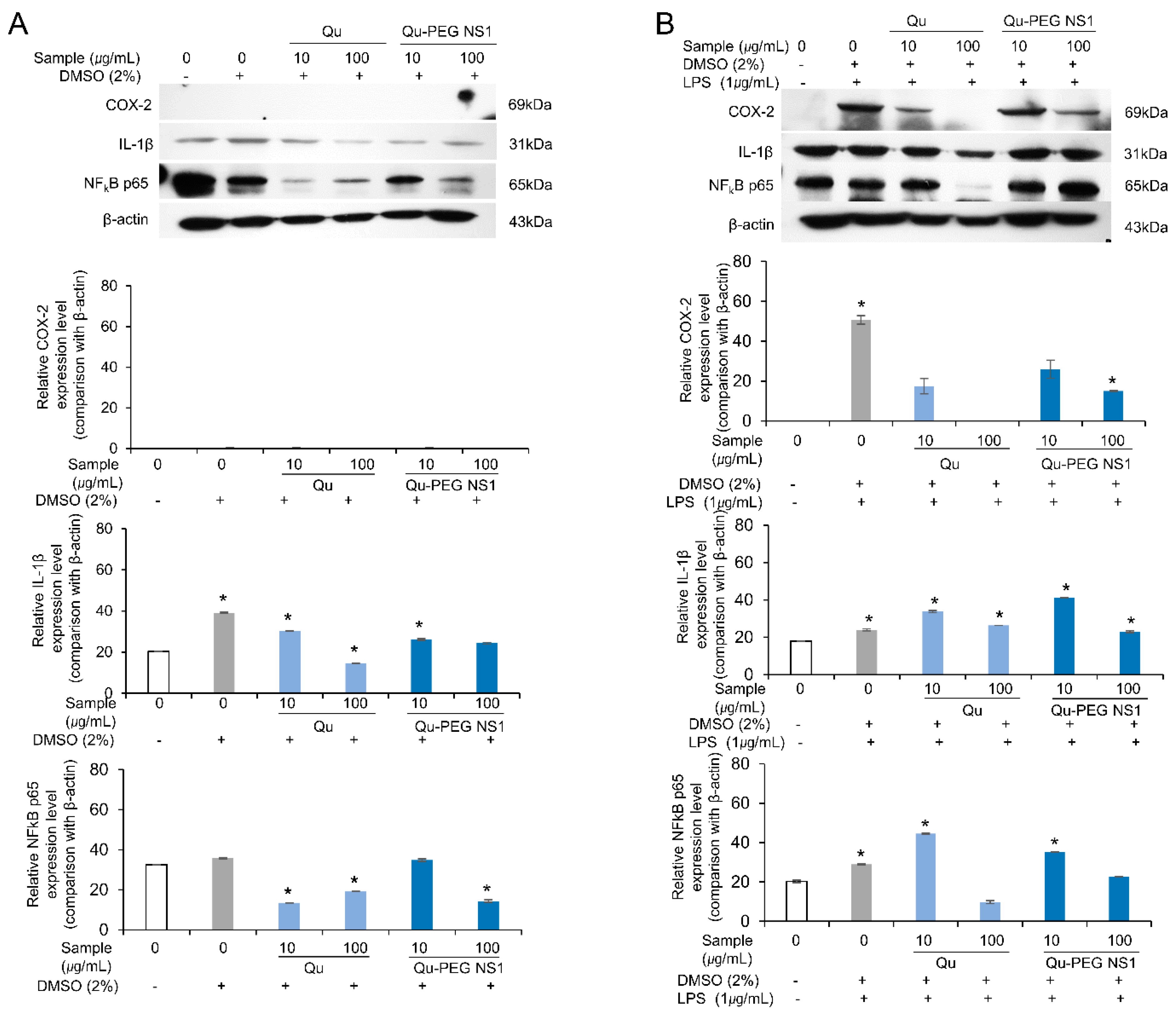 Molecules 27 07432 g010 Molecules 27 07432 g010