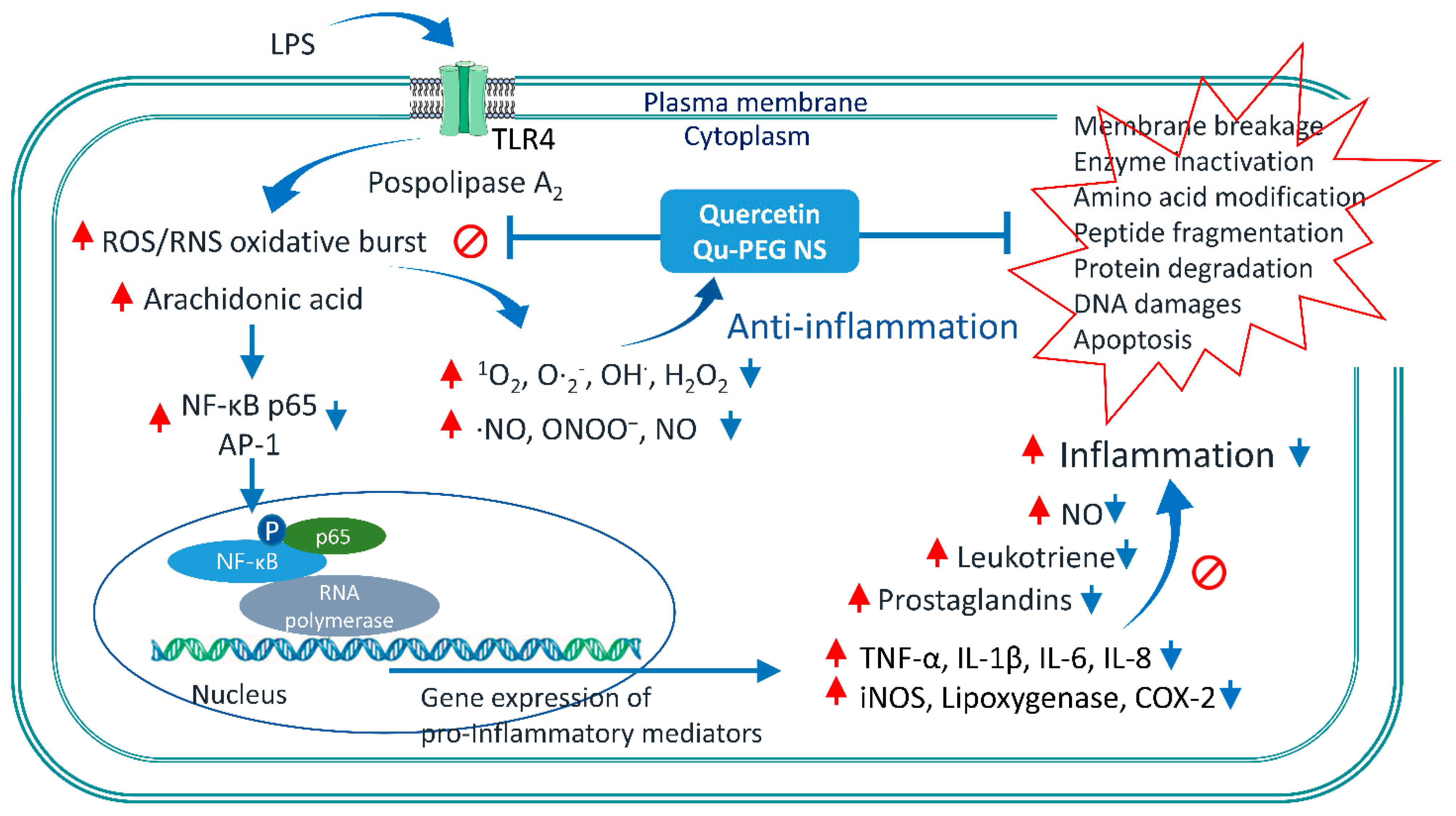 Molecules 27 07432 g011 Molecules 27 07432 g011