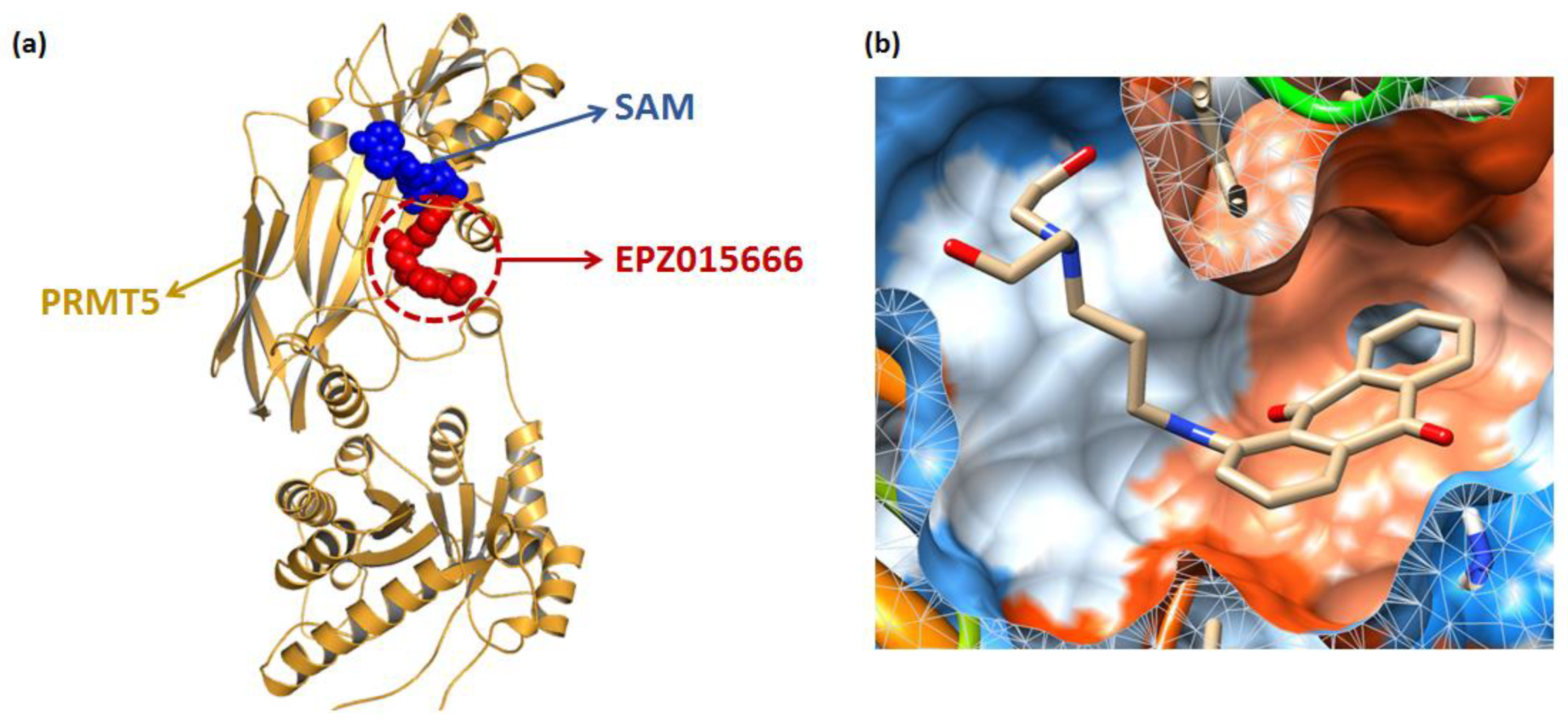 Molecules 27 07436 g002