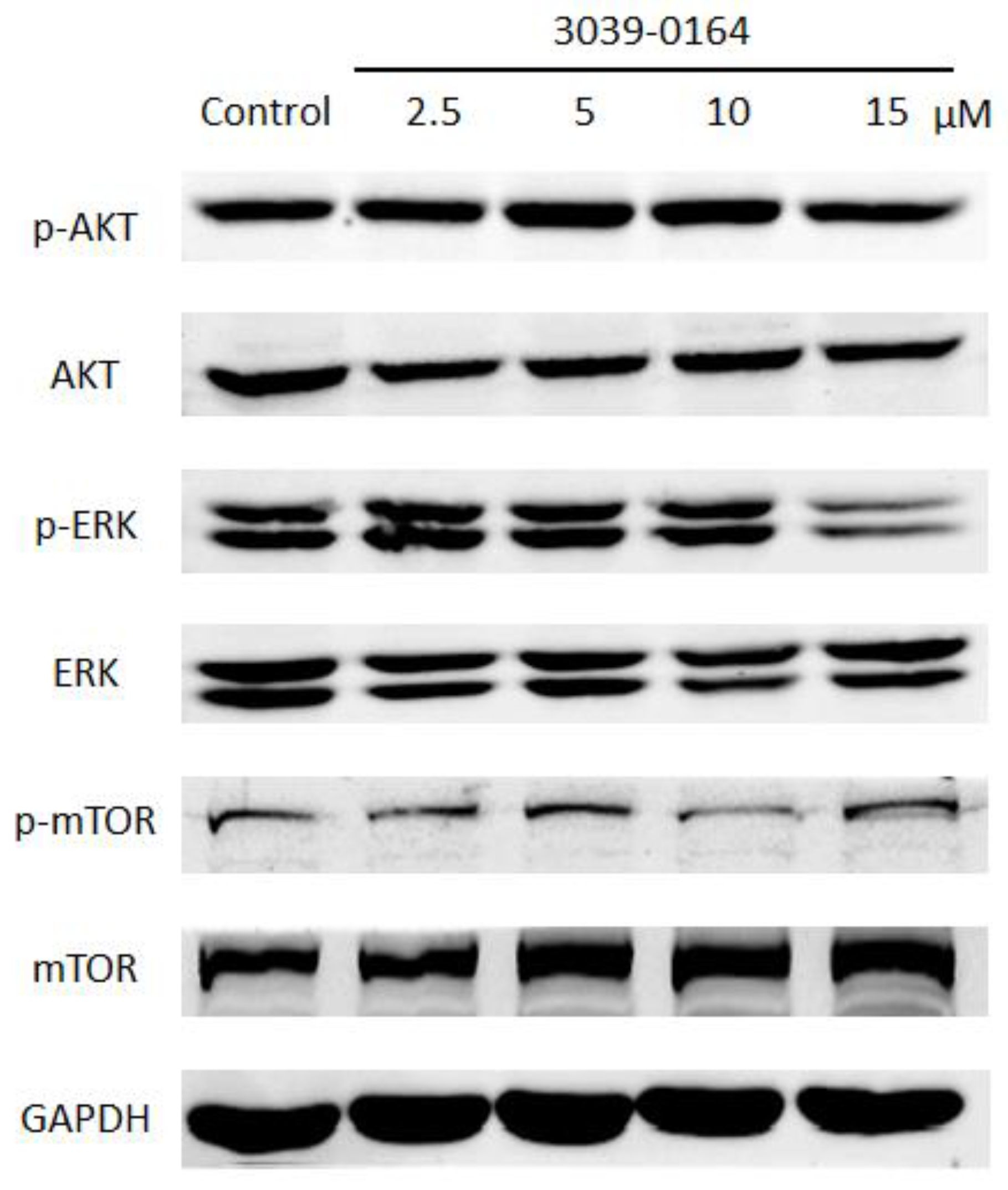 Molecules 27 07436 g006