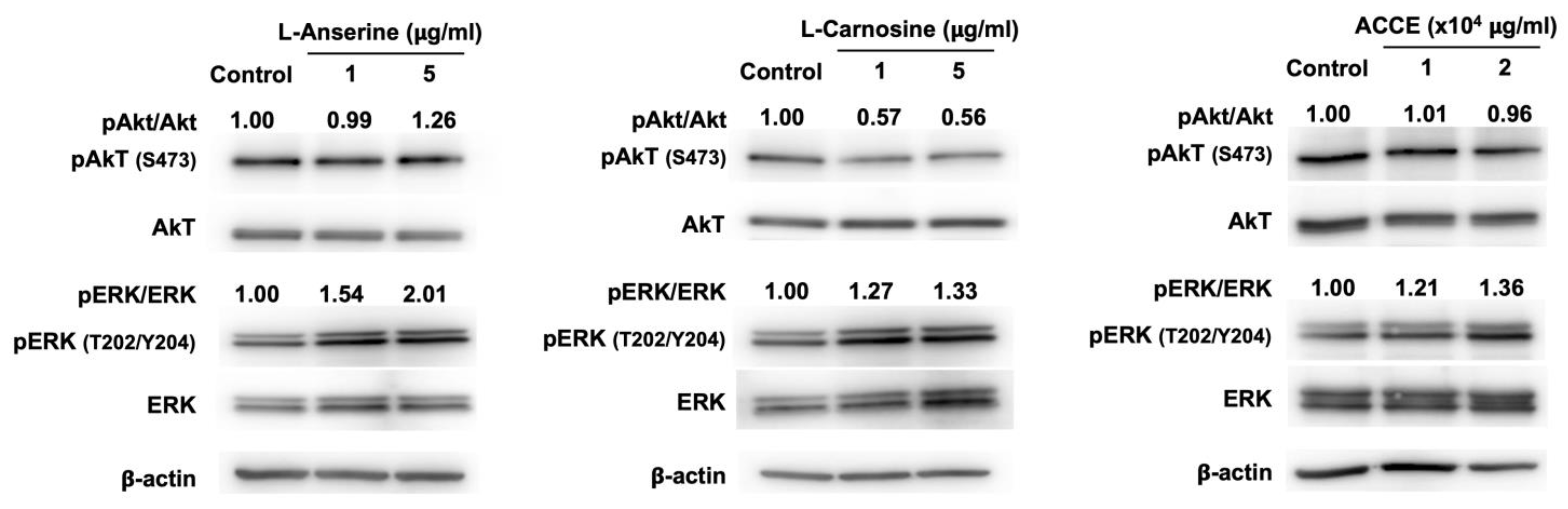 Molecules 27 07440 g005