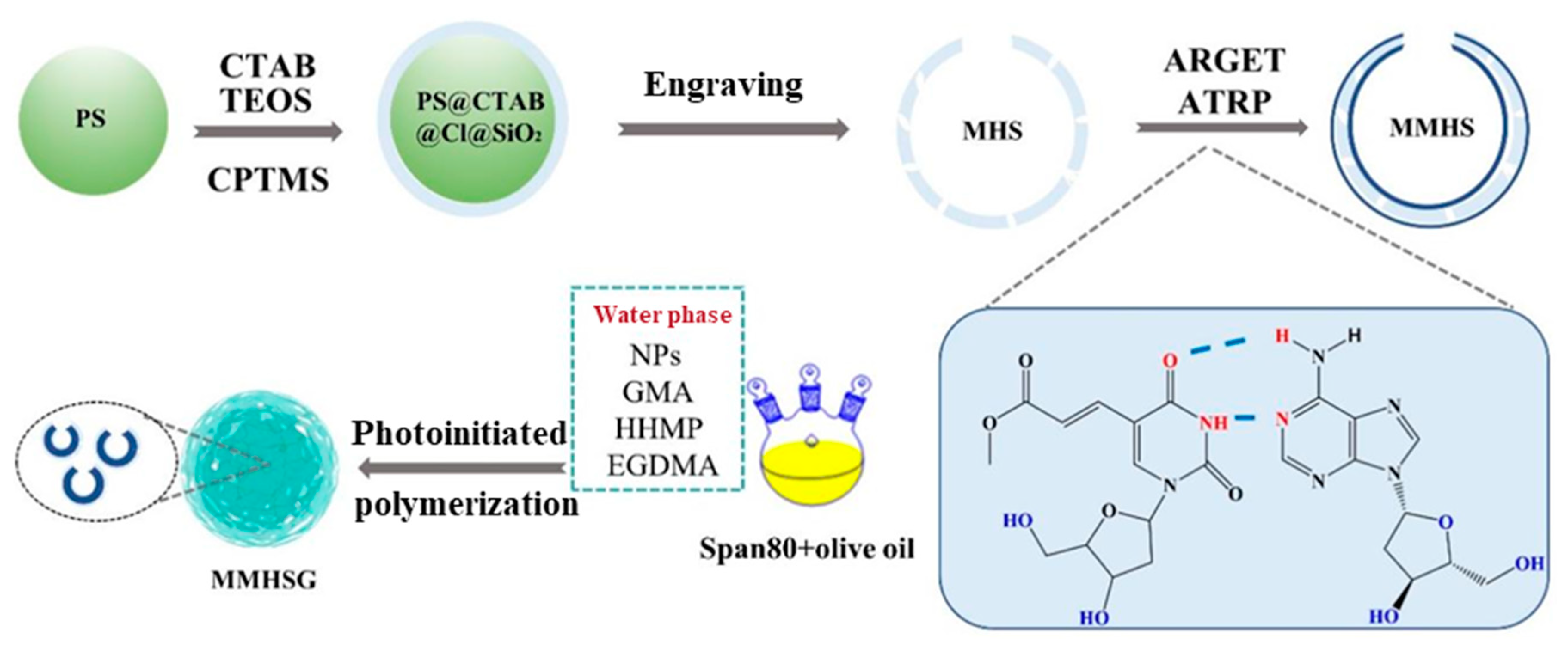 Molecules 27 07444 g001