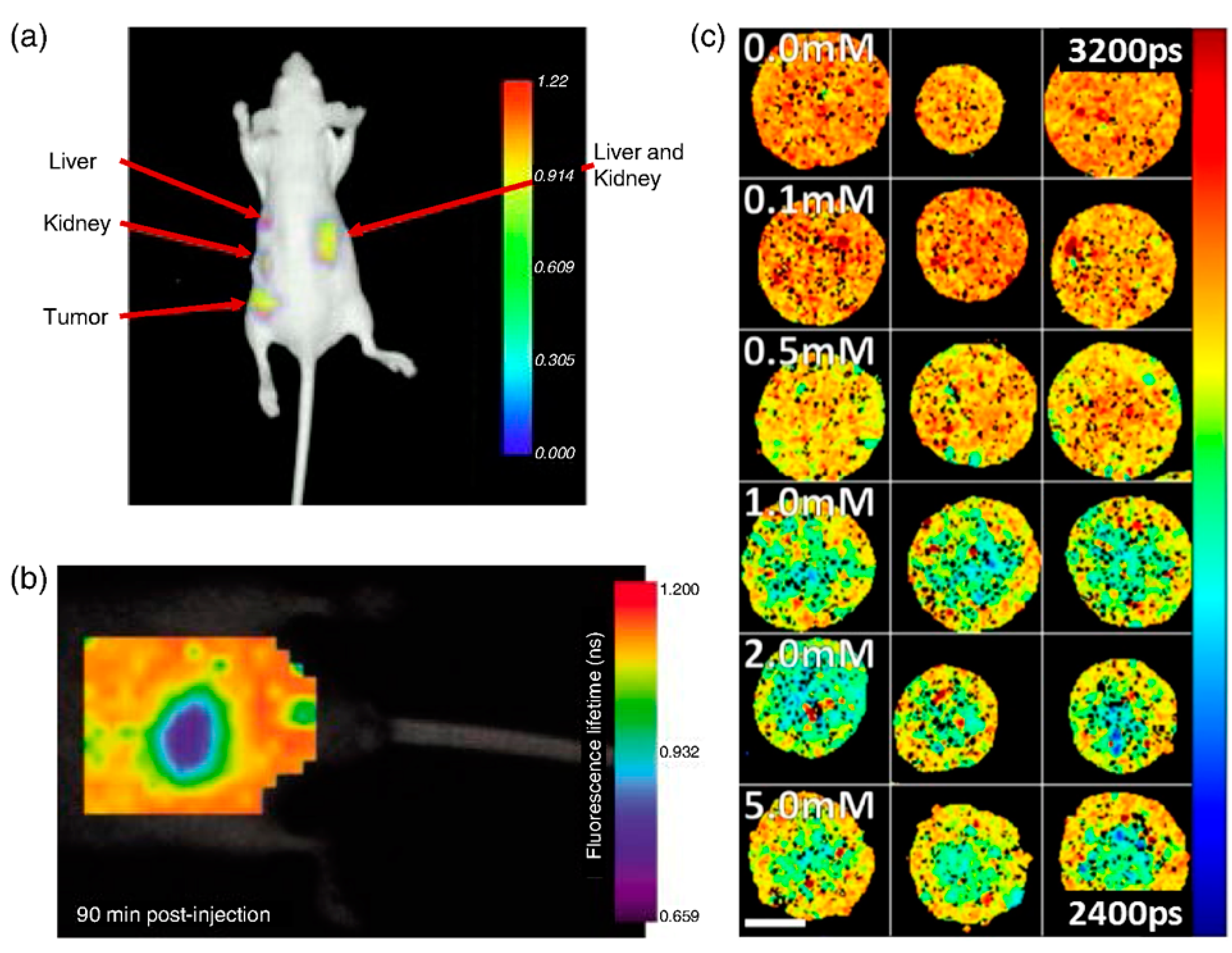 Molecules 27 07448 g003