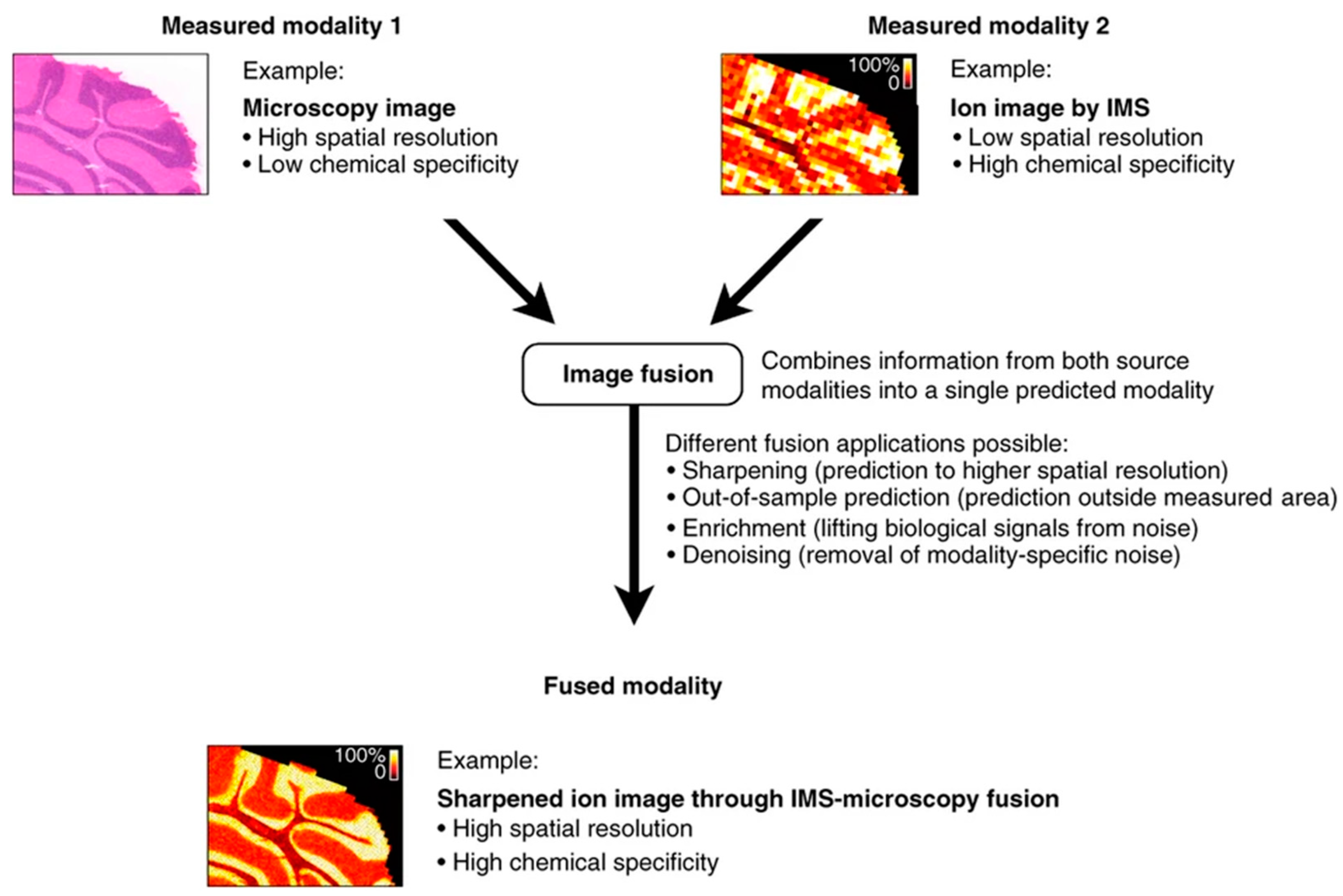 Molecules 27 07448 g007