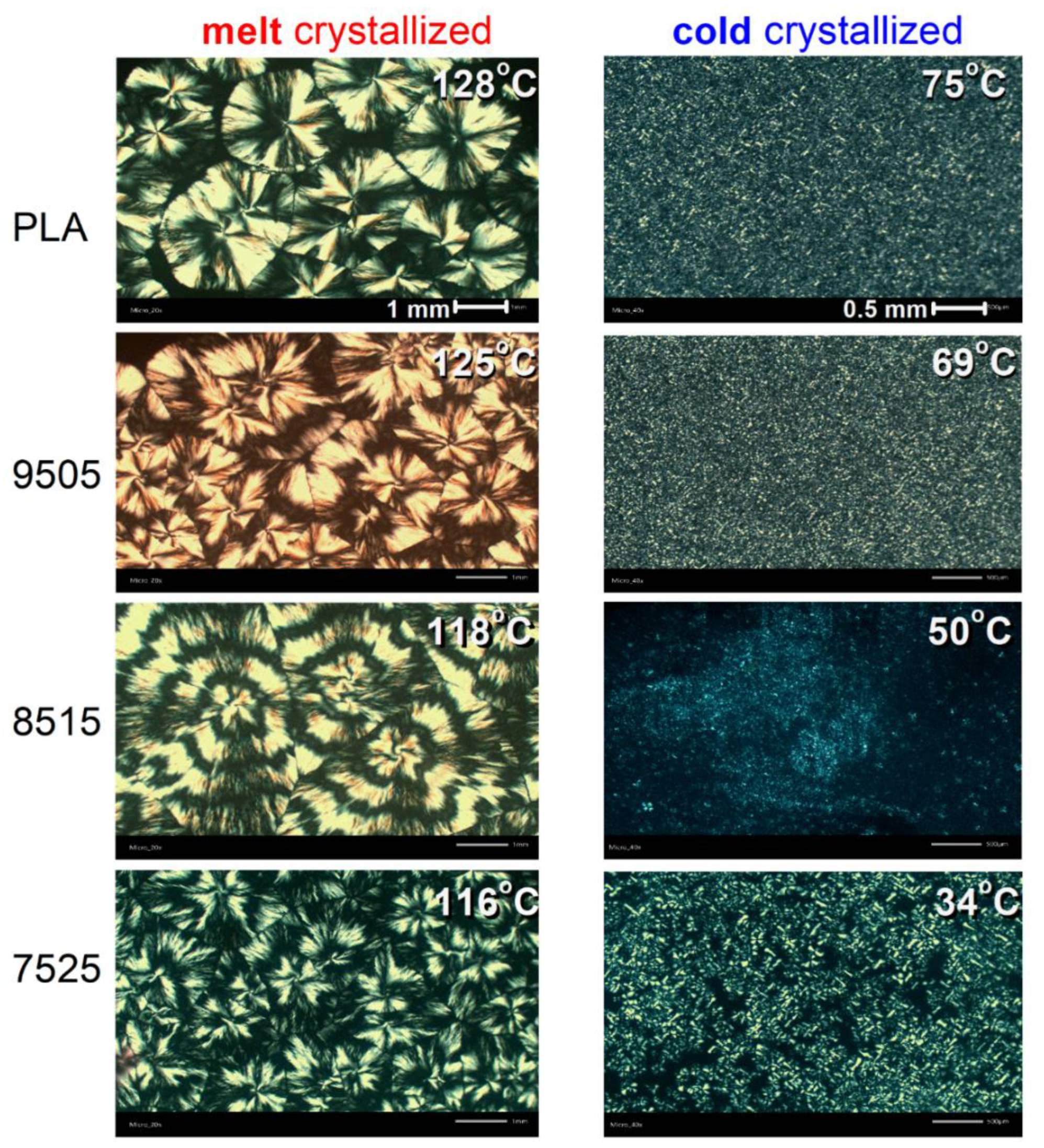 Molecules 27 07449 g006