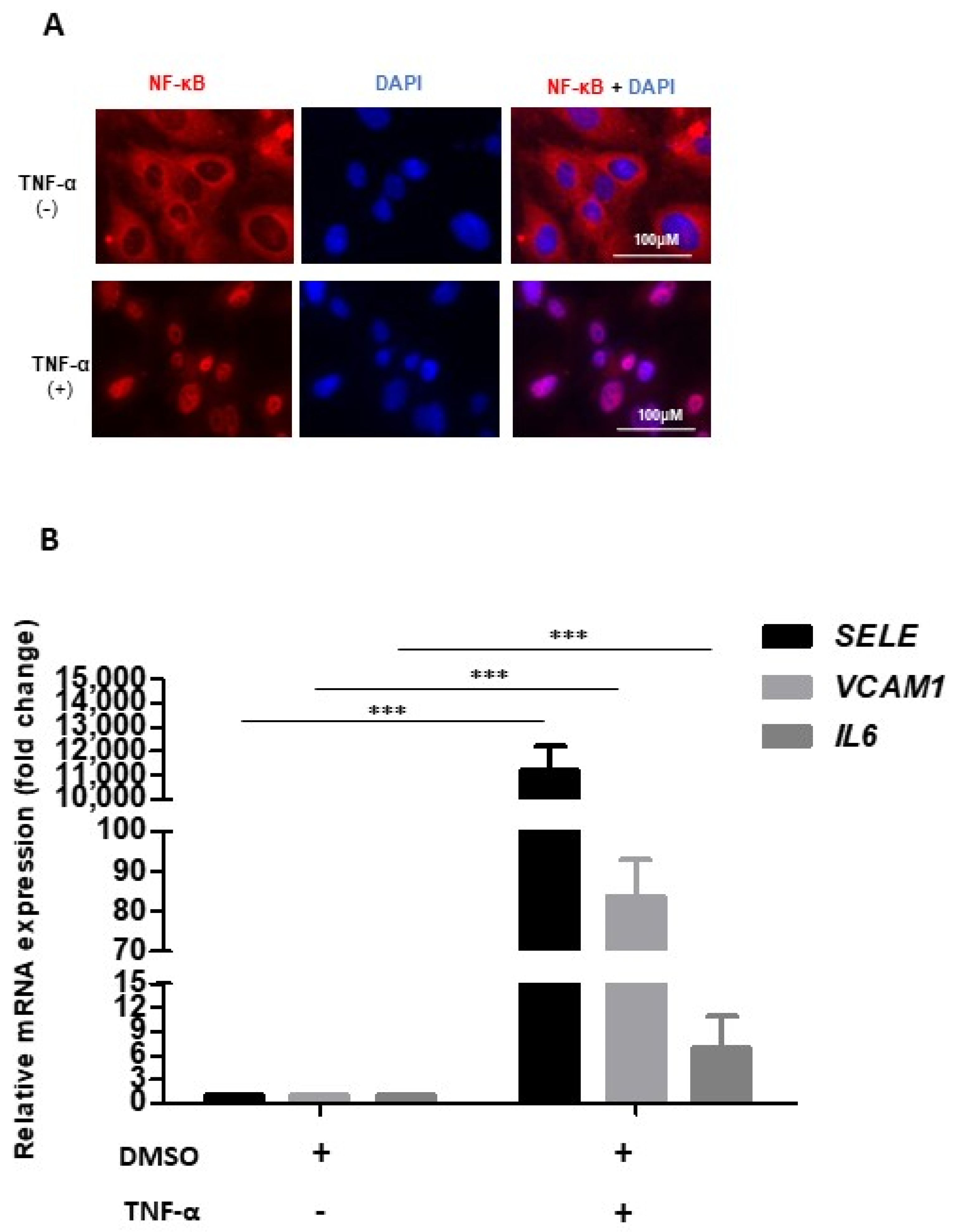 Molecules 27 07453 g001