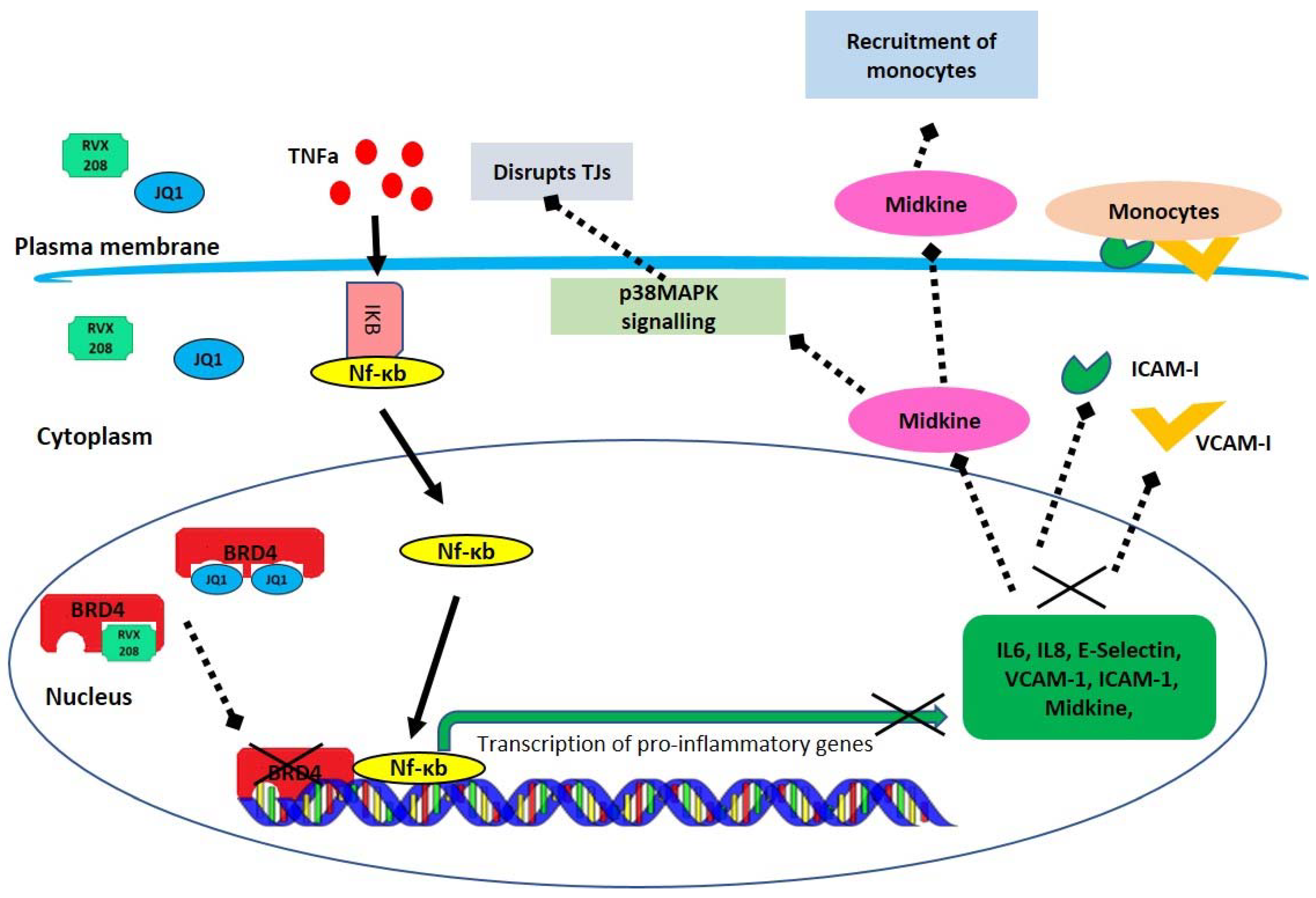 Molecules 27 07453 g008