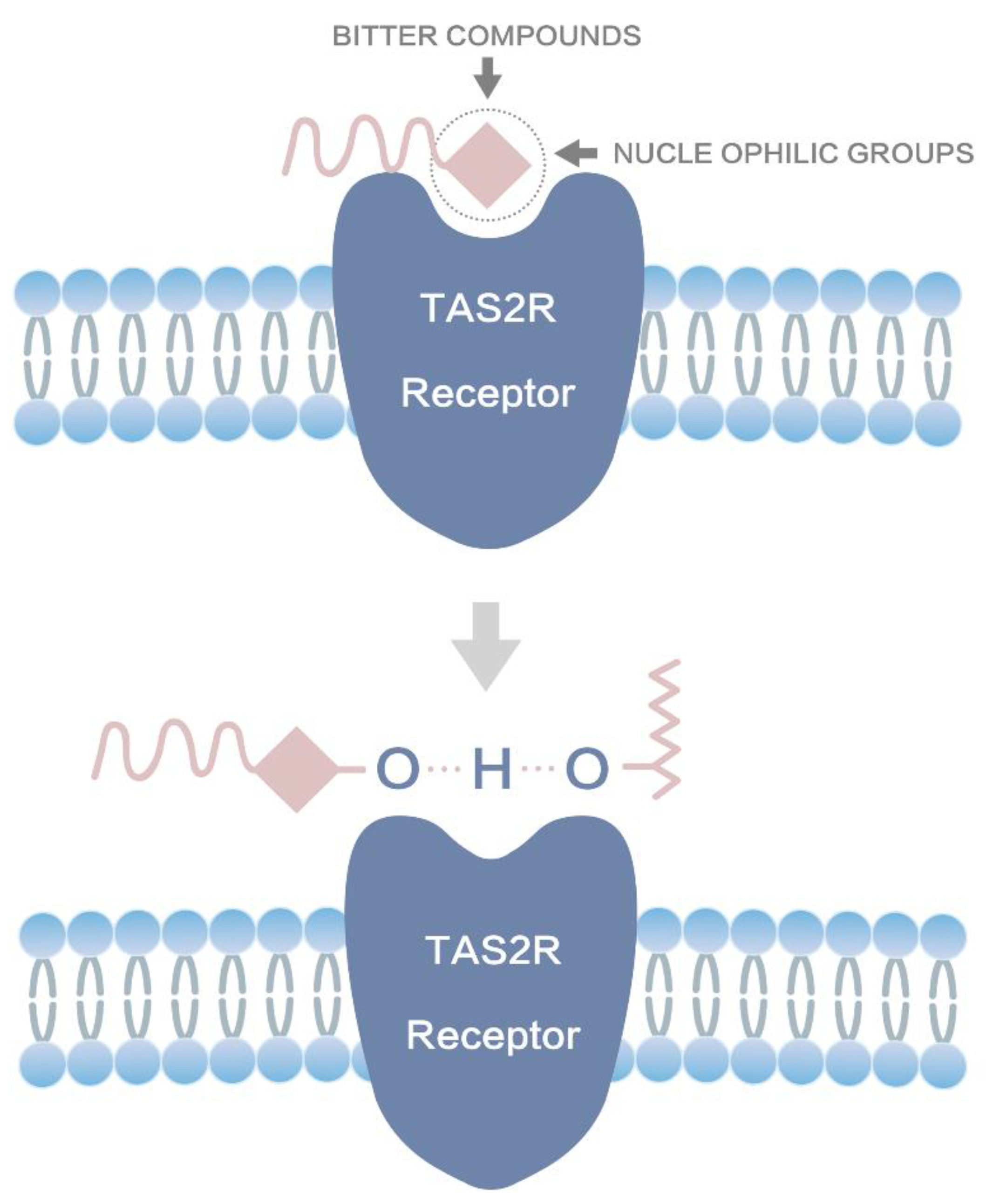 Molecules 27 07455 g008