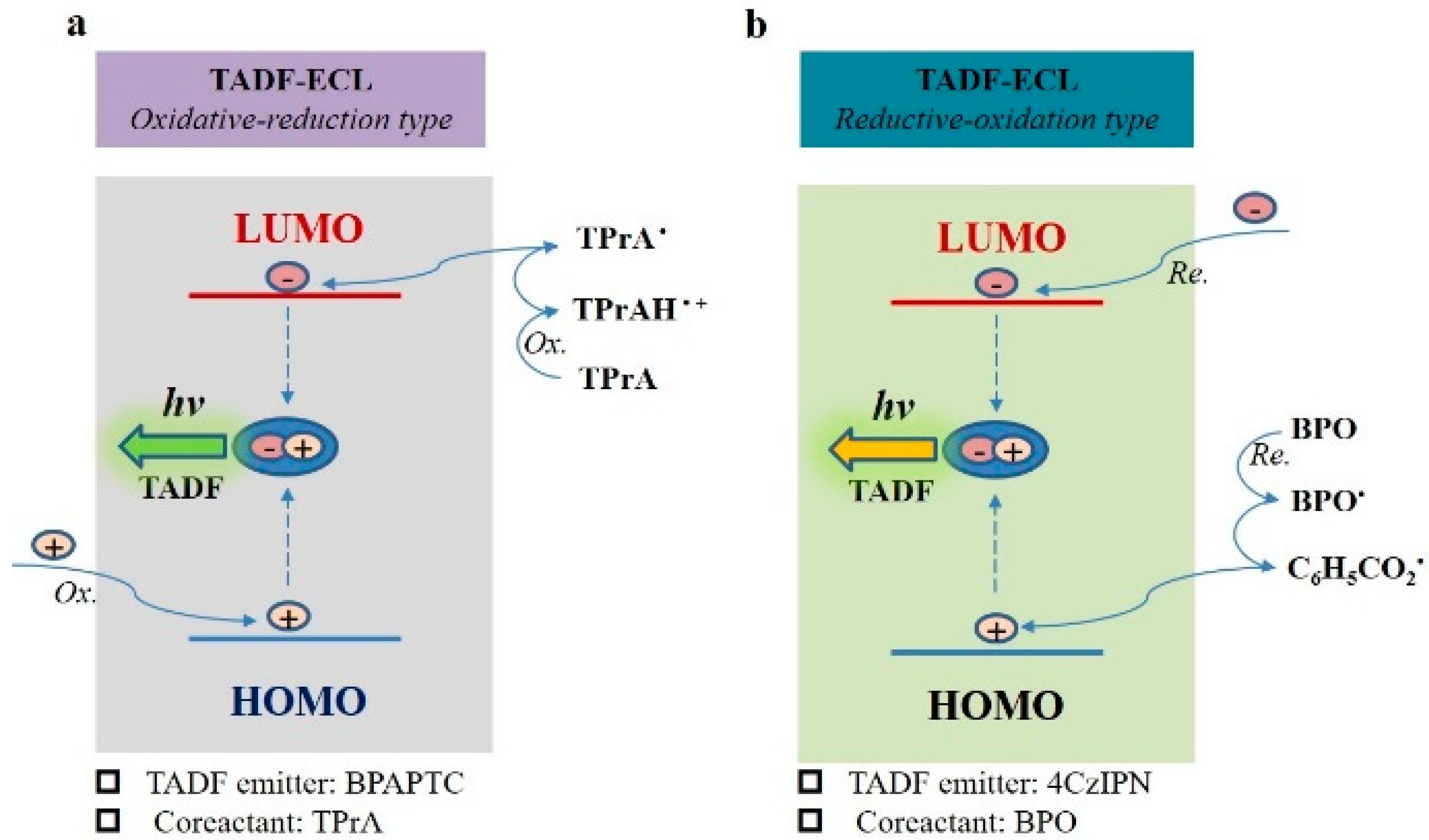 Molecules 27 07457 g007