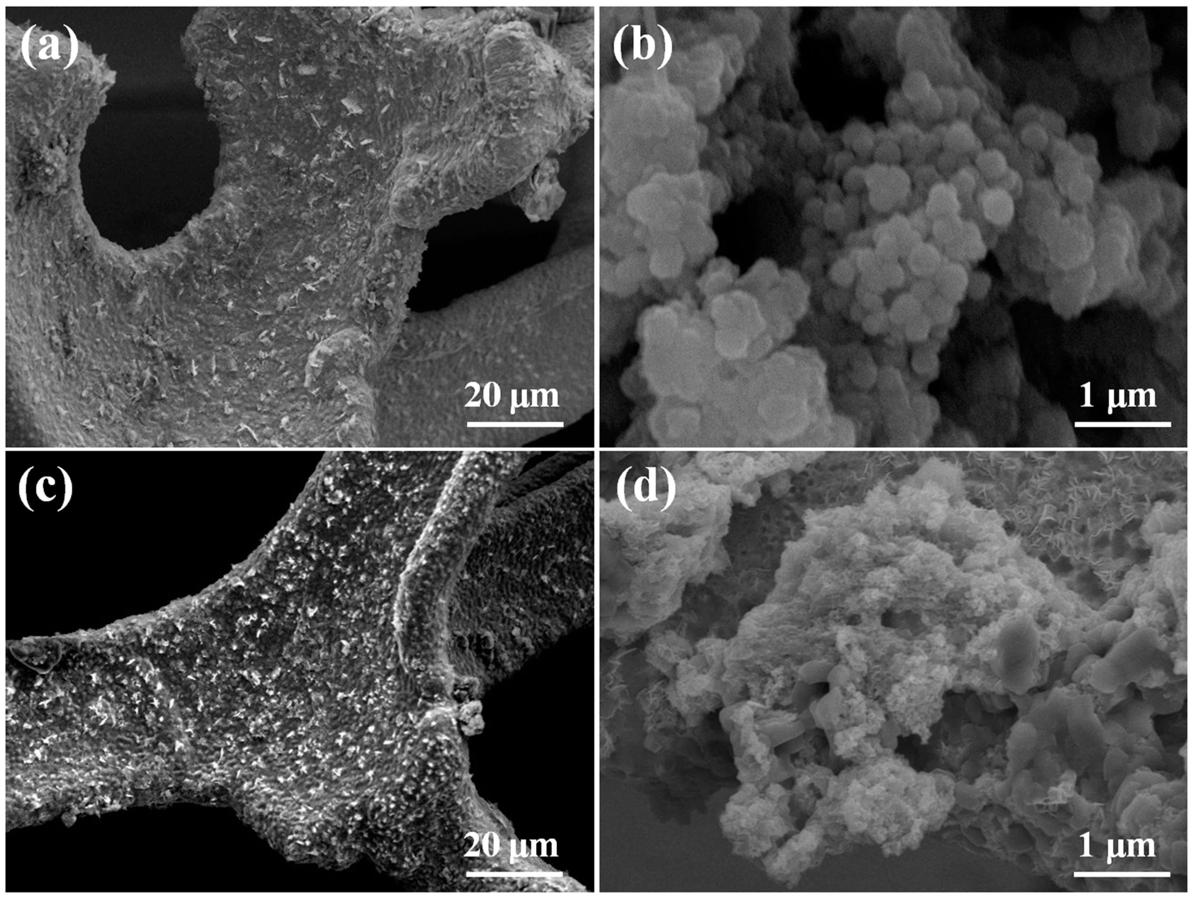 Molecules 27 07458 g002 Molecules 27 07458 g002