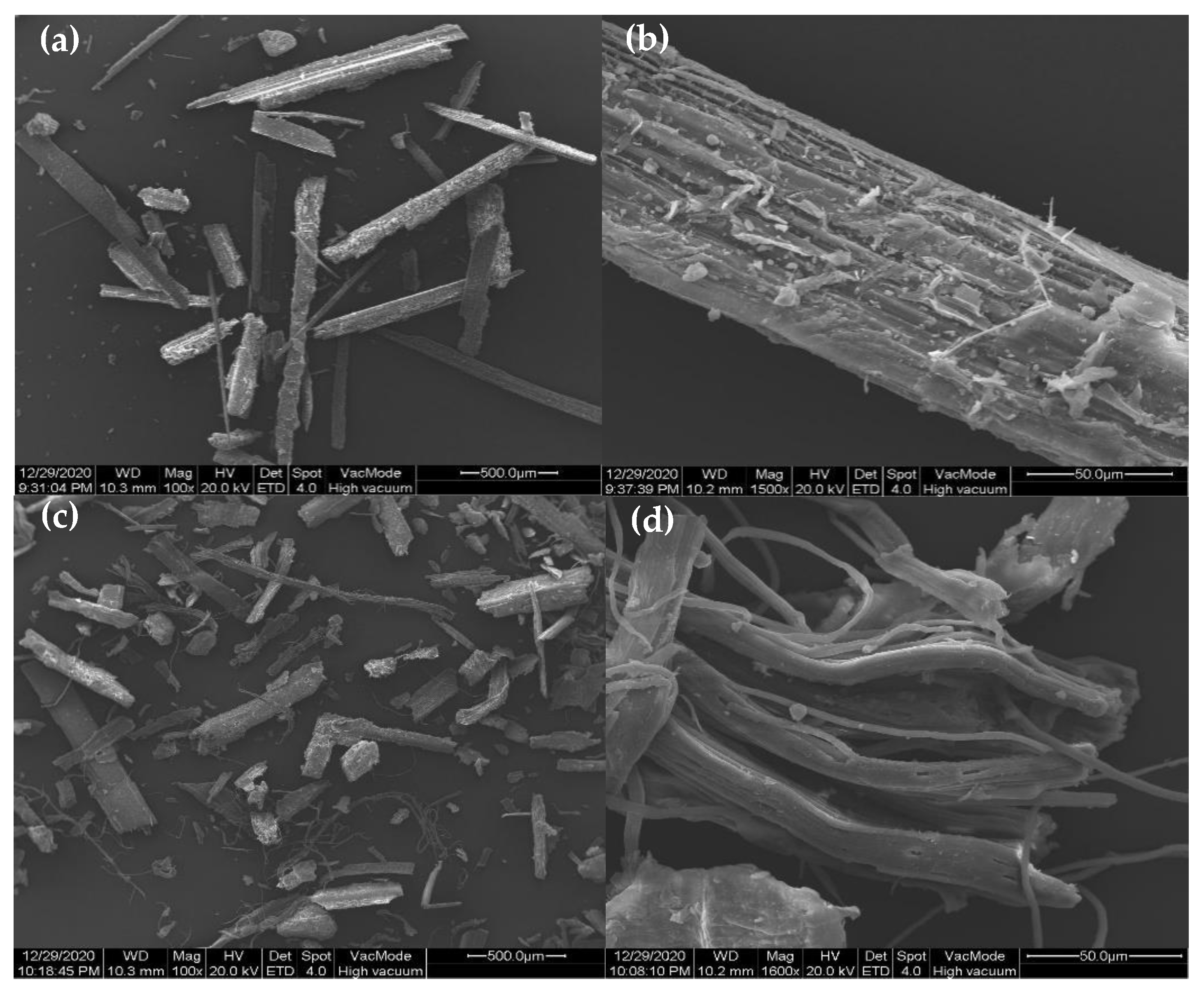 Molecules 27 07459 g008