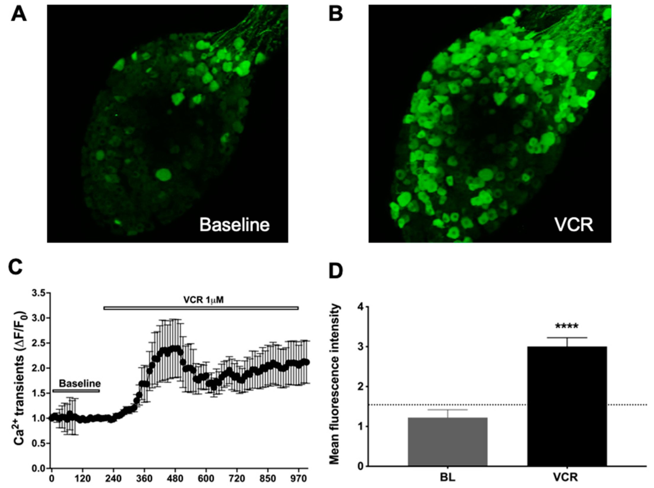 Molecules 27 07465 g001