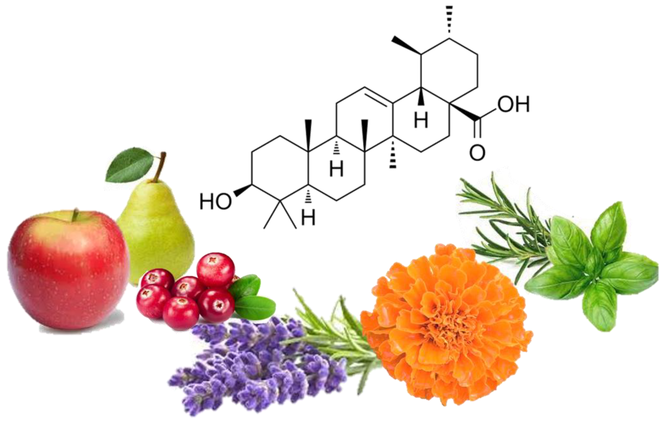 Molecules 27 07466 g001