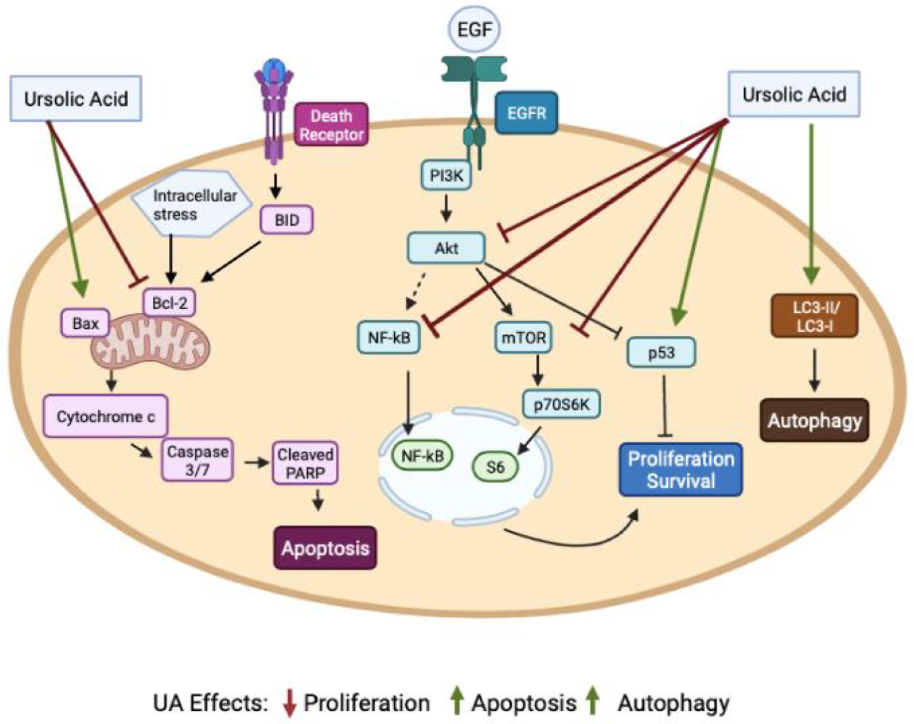 Molecules 27 07466 g002