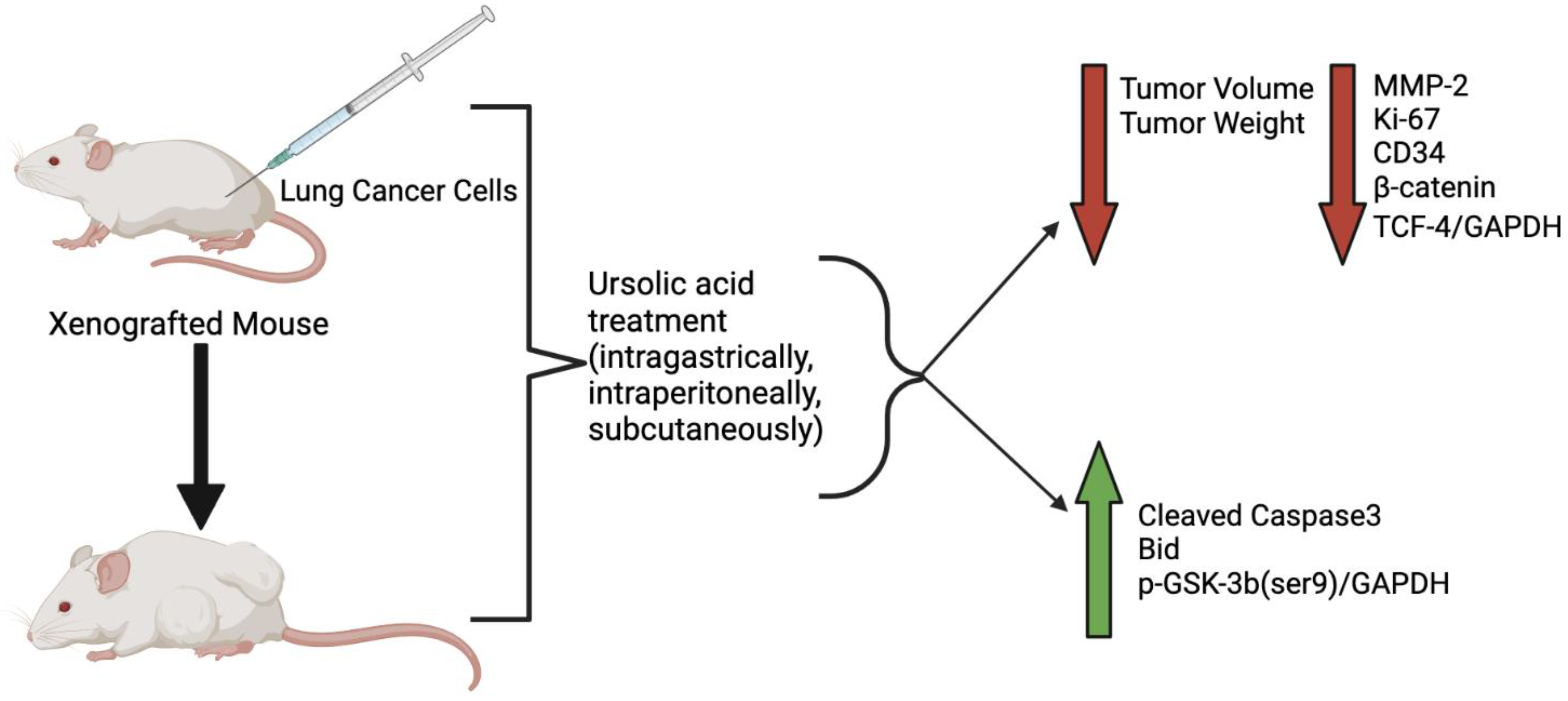 Molecules 27 07466 g003