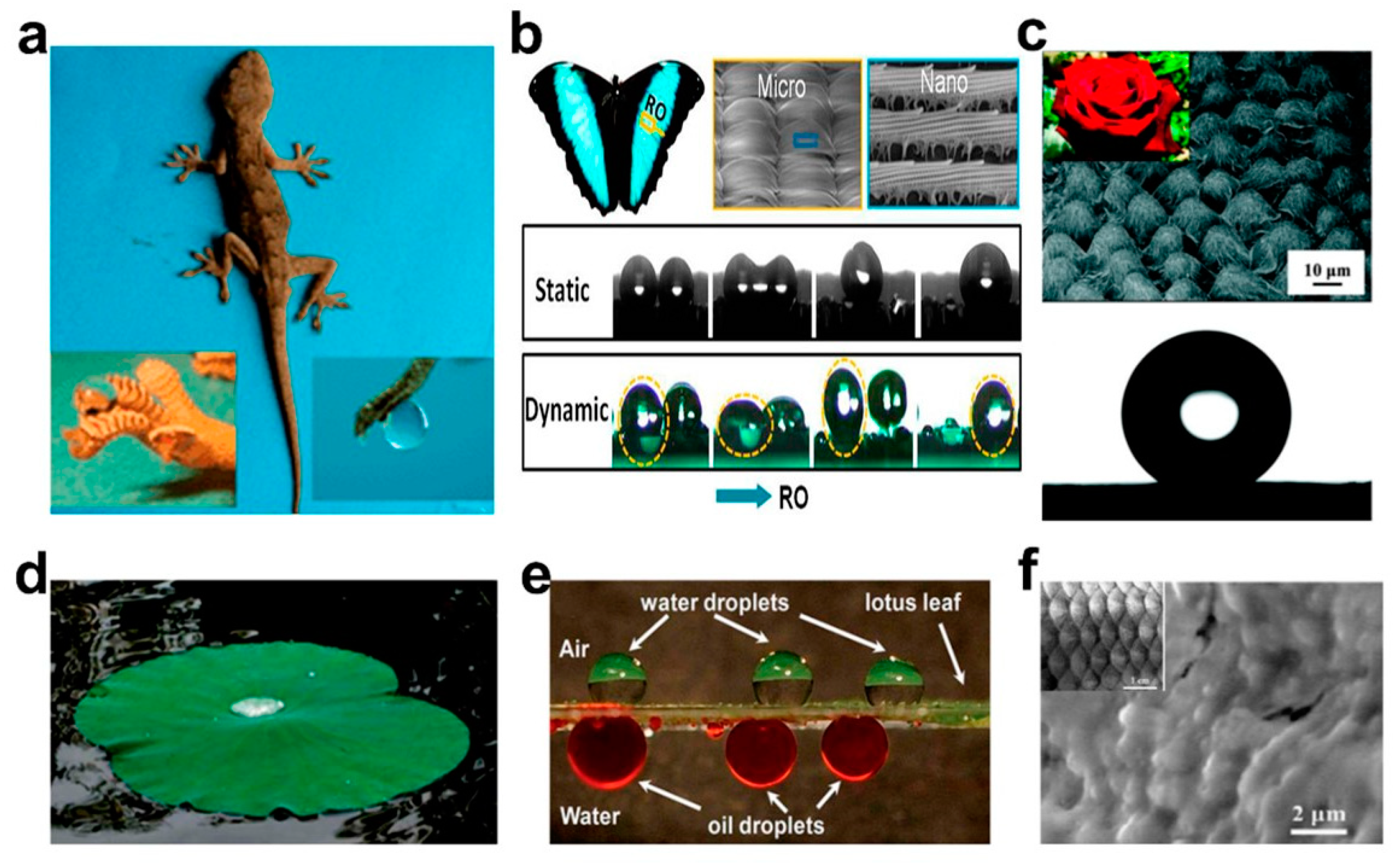 Molecules 27 07470 g001
