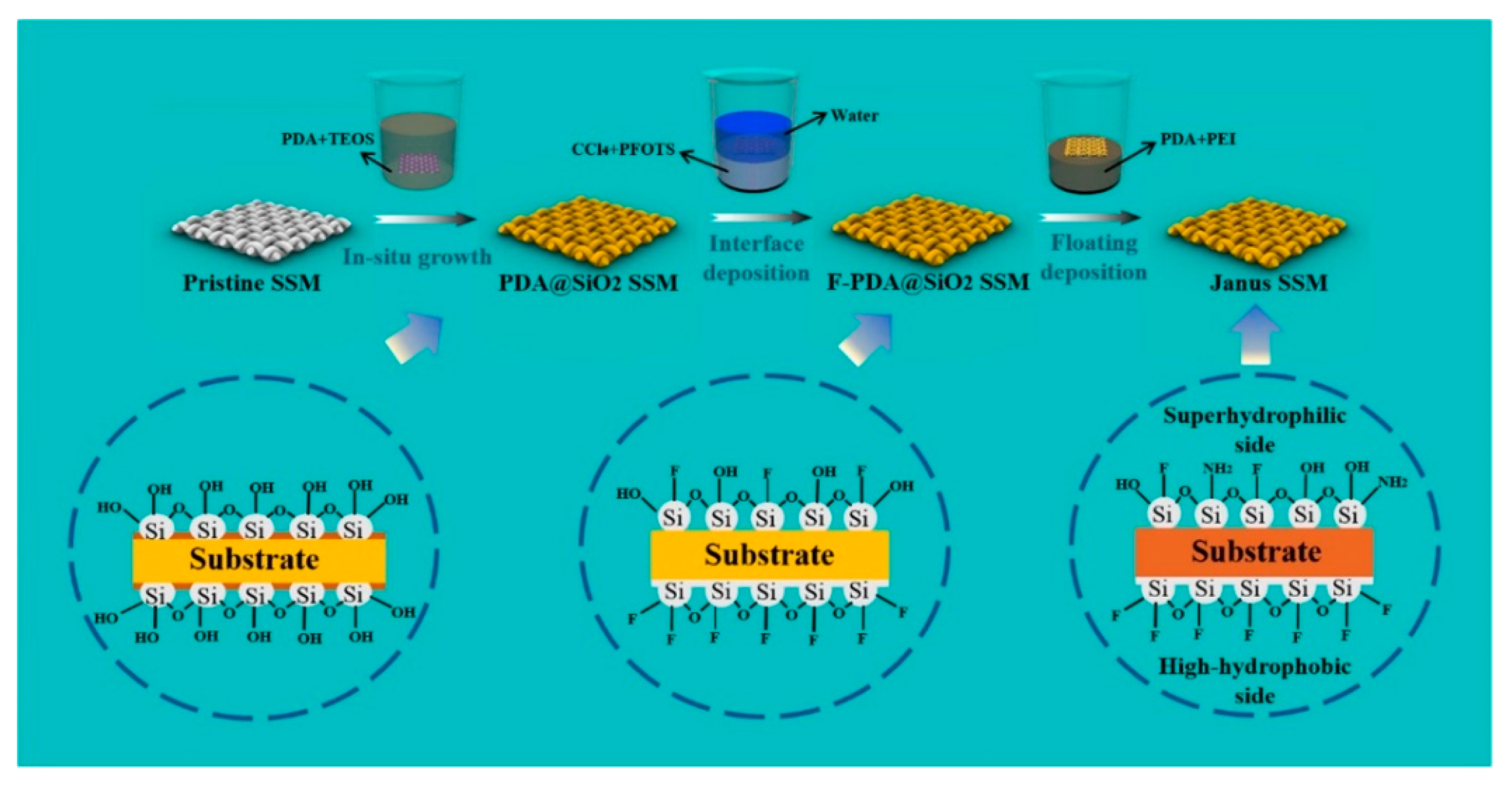 Molecules 27 07470 g007