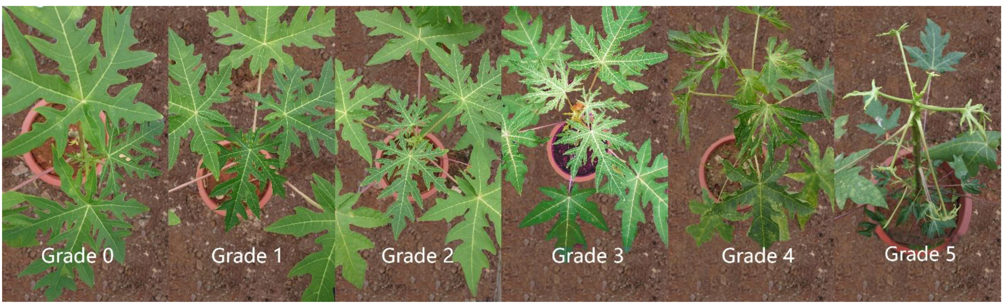 Molecules 27 07474 g001