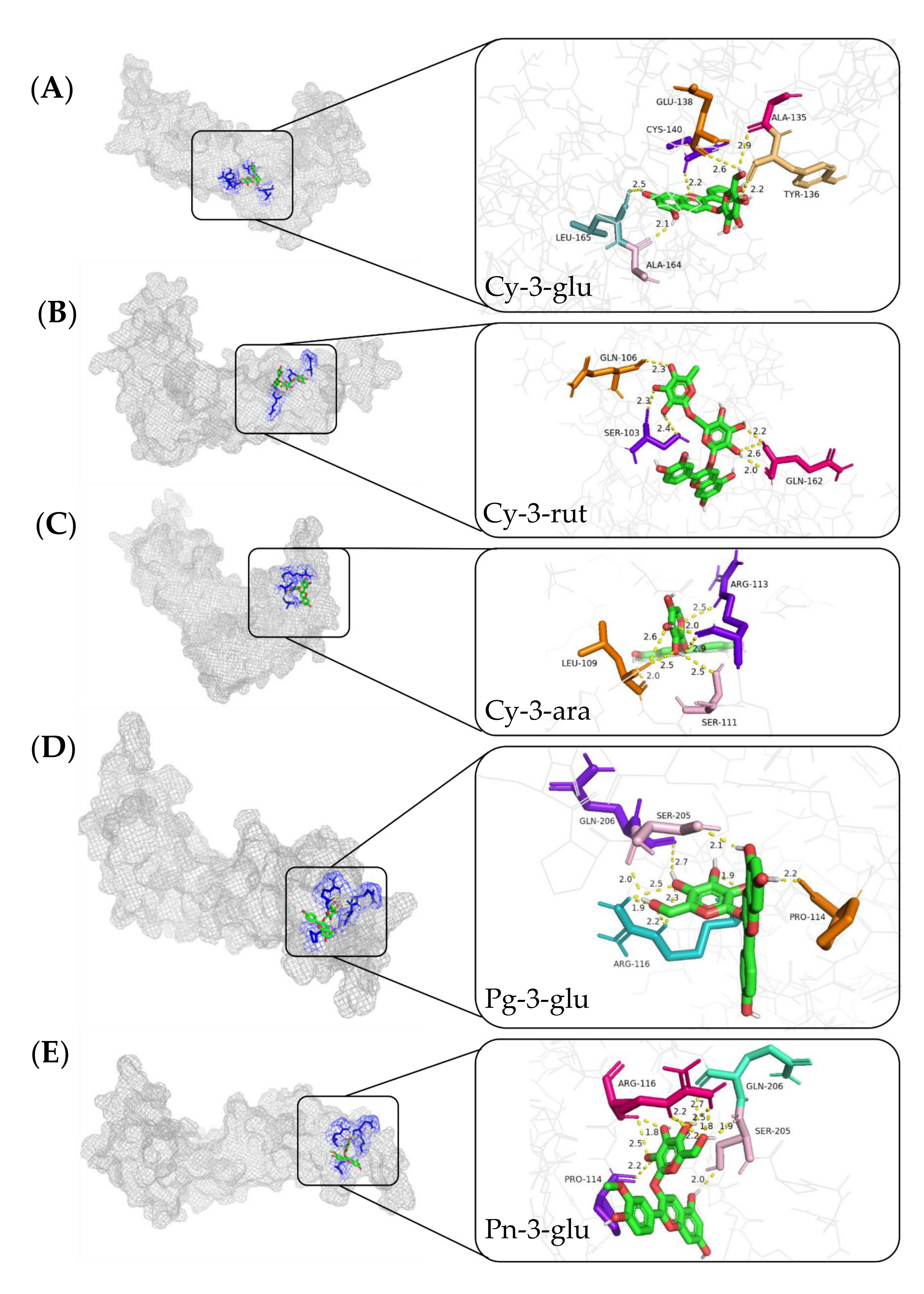 Molecules 27 07475 g004