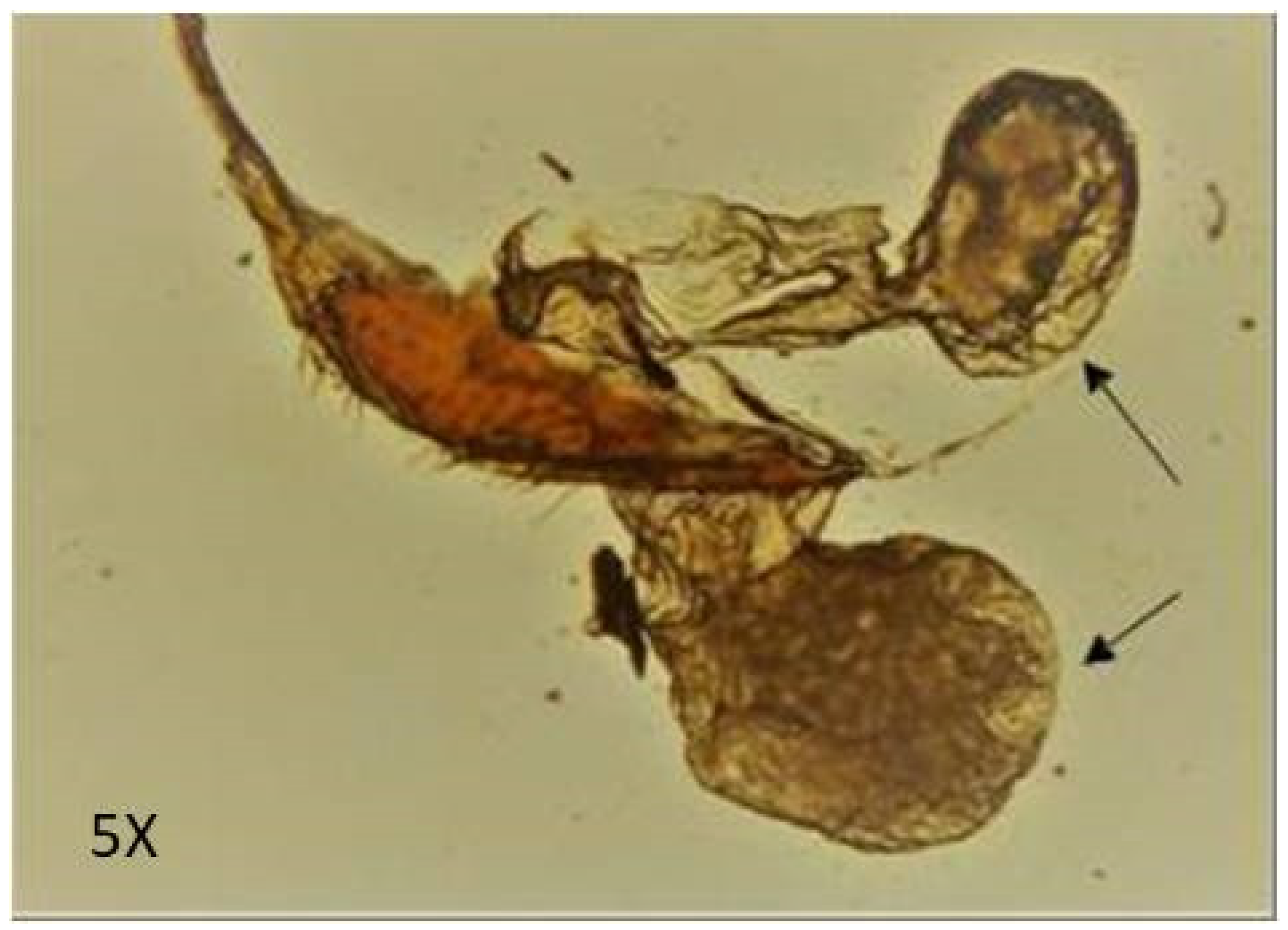 Molecules 27 07476 g001