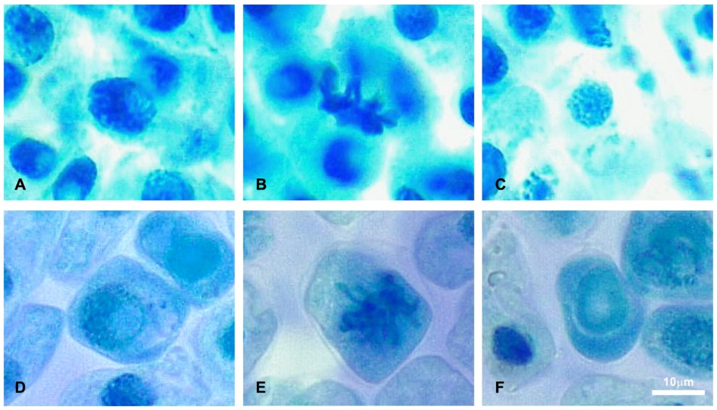 Molecules 27 07476 g004