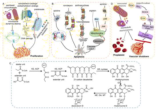 Molecules 27 07480 g003