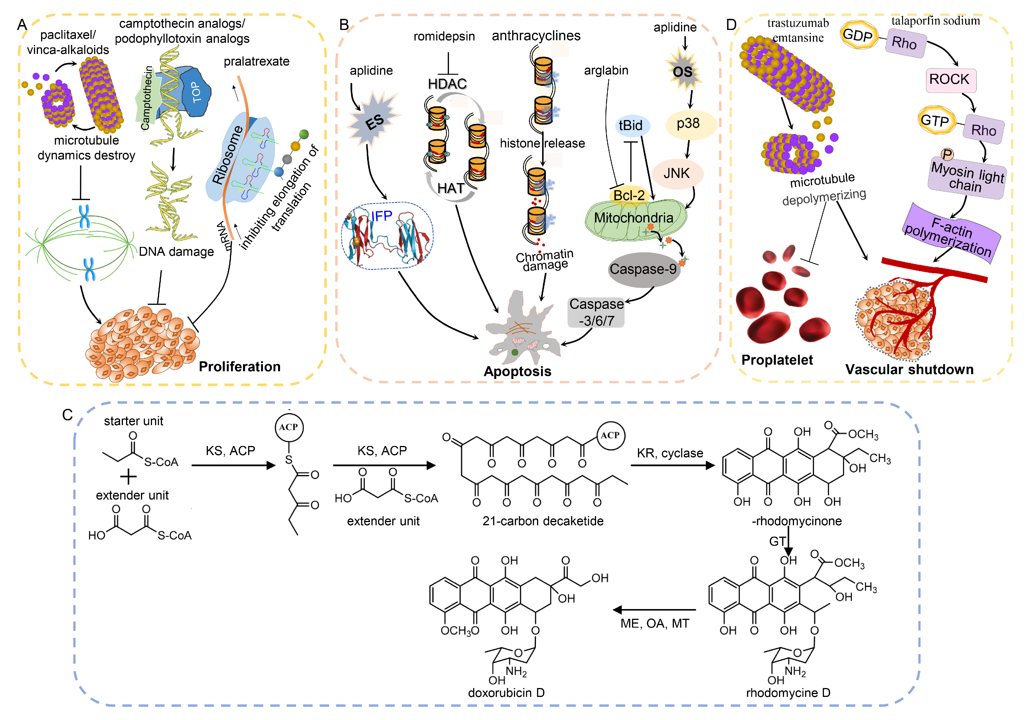 Molecules 27 07480 g003