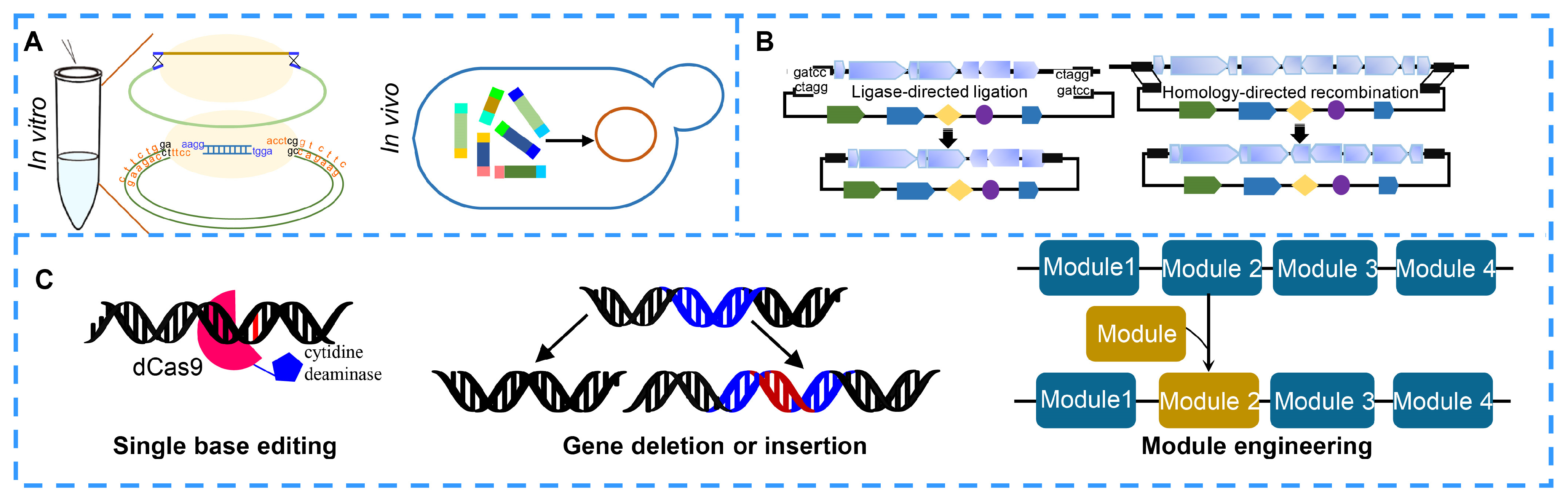 Molecules 27 07480 g005