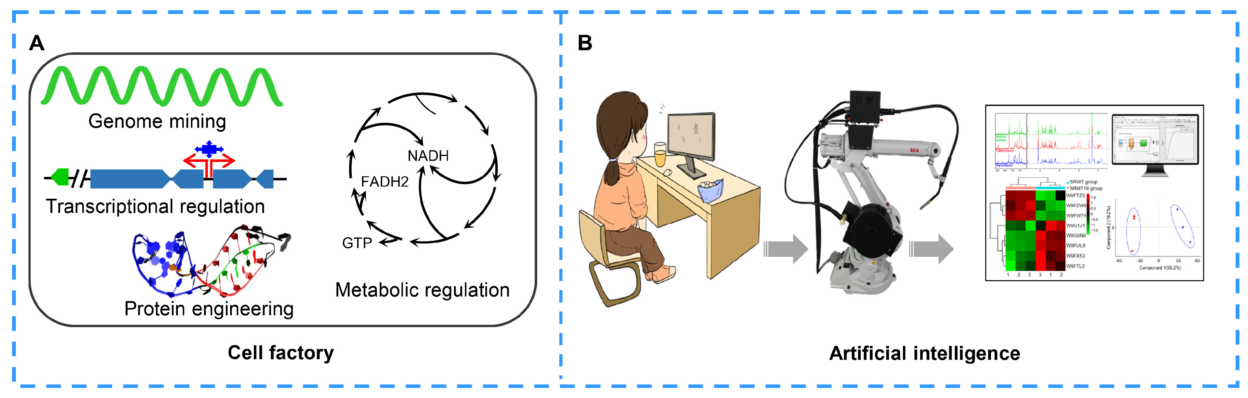Molecules 27 07480 g006