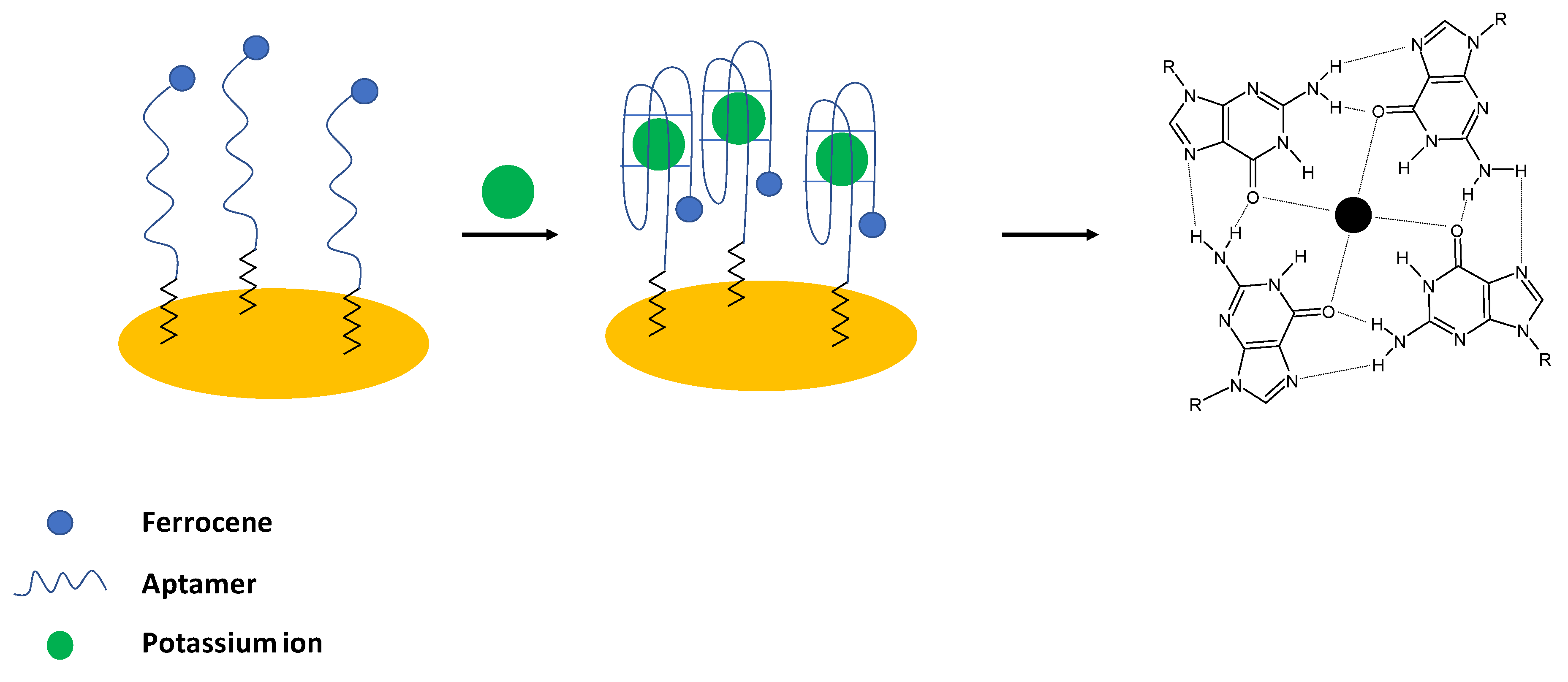 Molecules 27 07481 g001