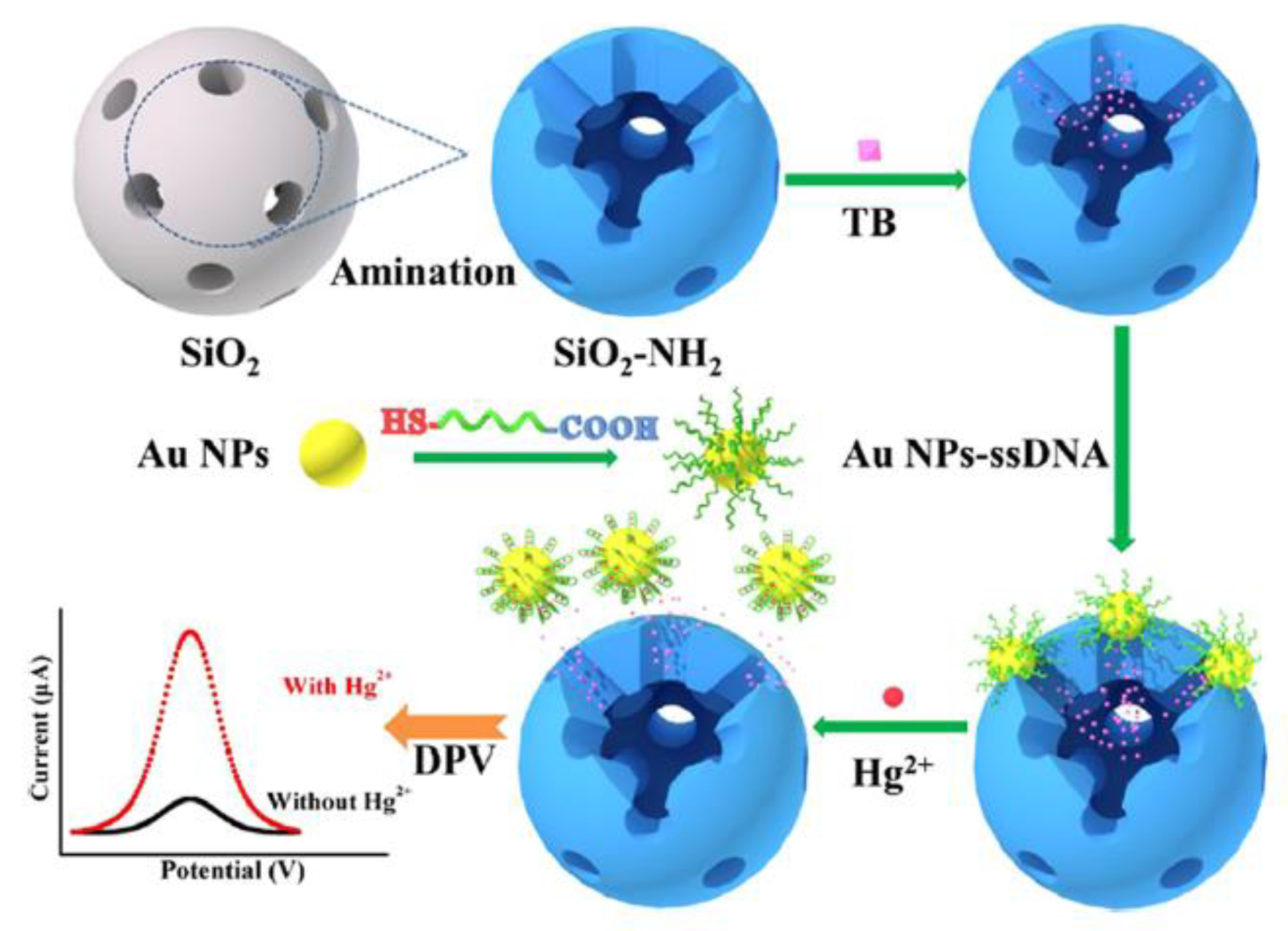 Molecules 27 07481 g007