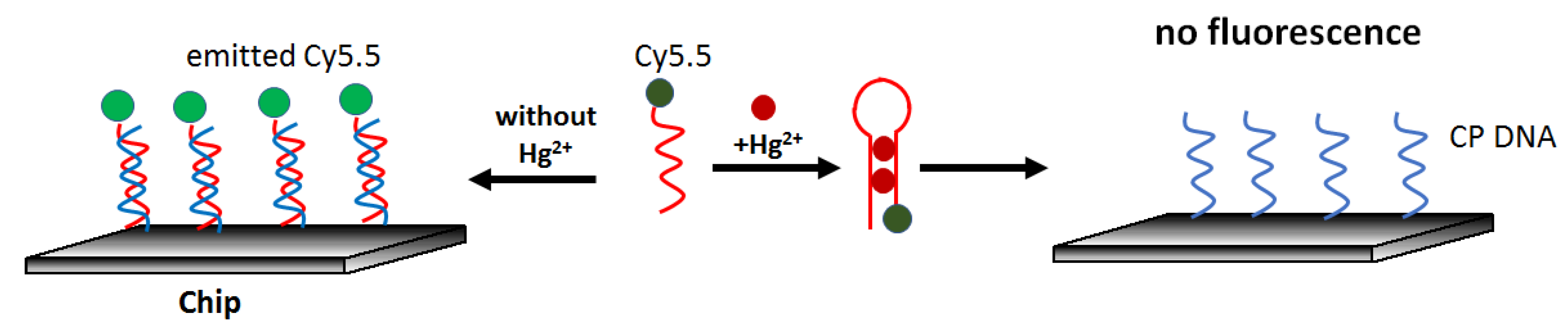Molecules 27 07481 g011