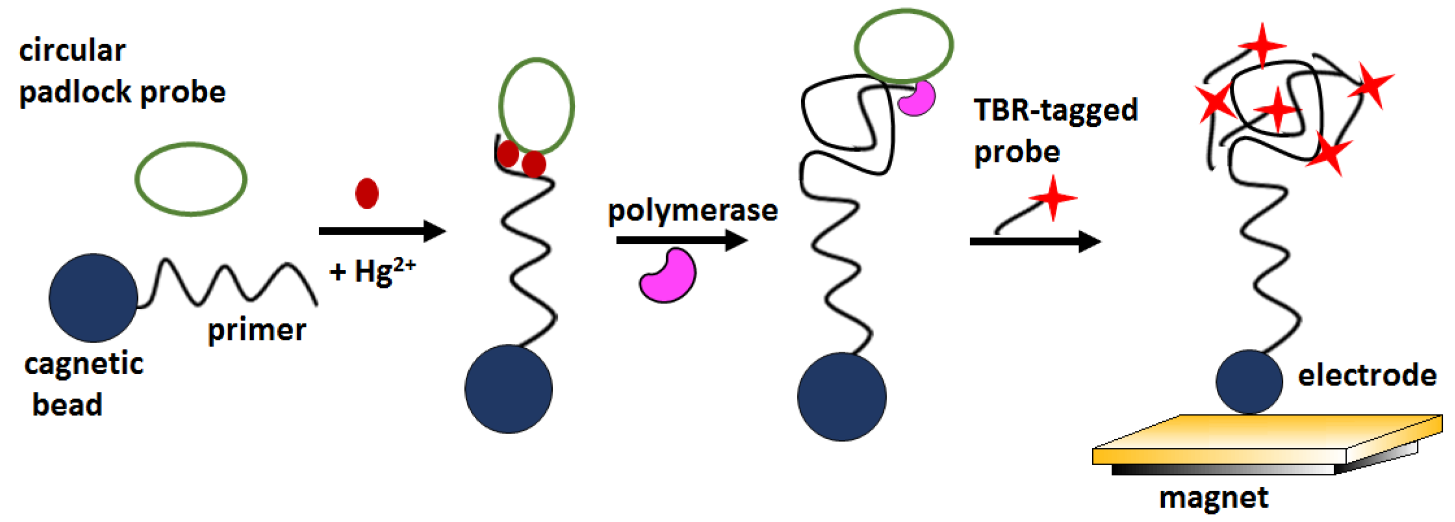 Molecules 27 07481 g012