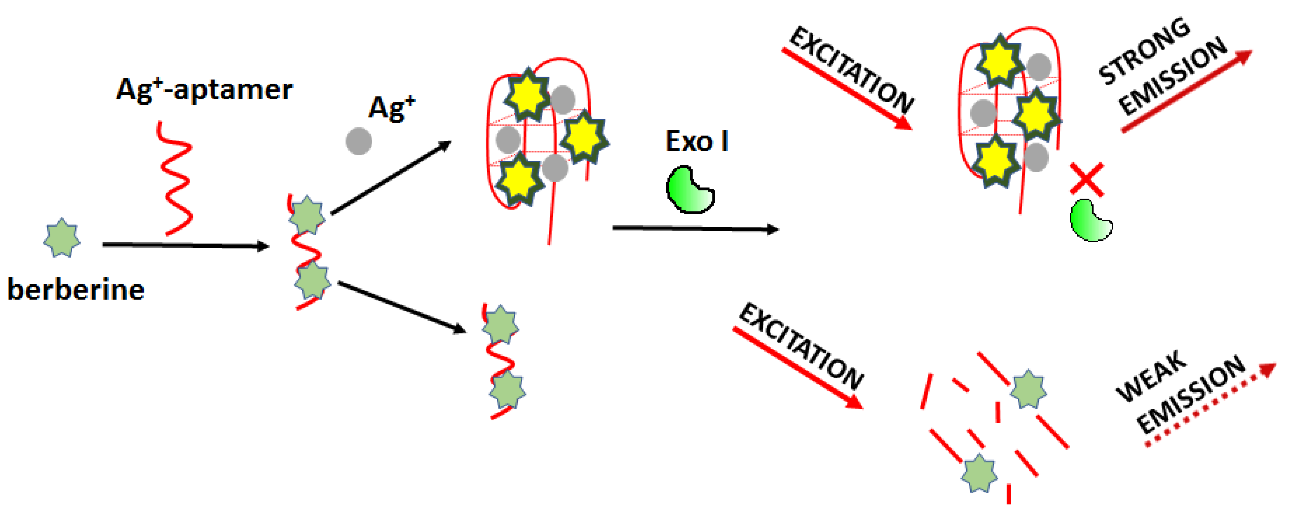 Molecules 27 07481 g016