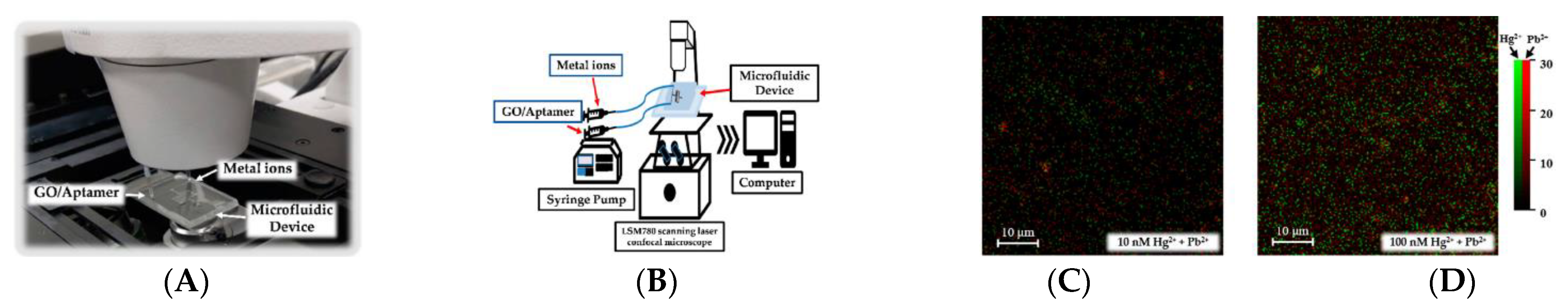 Molecules 27 07481 g031