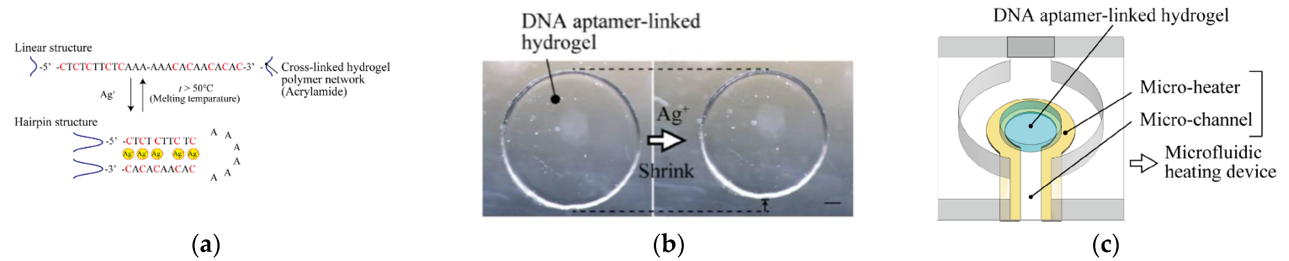 Molecules 27 07481 g033