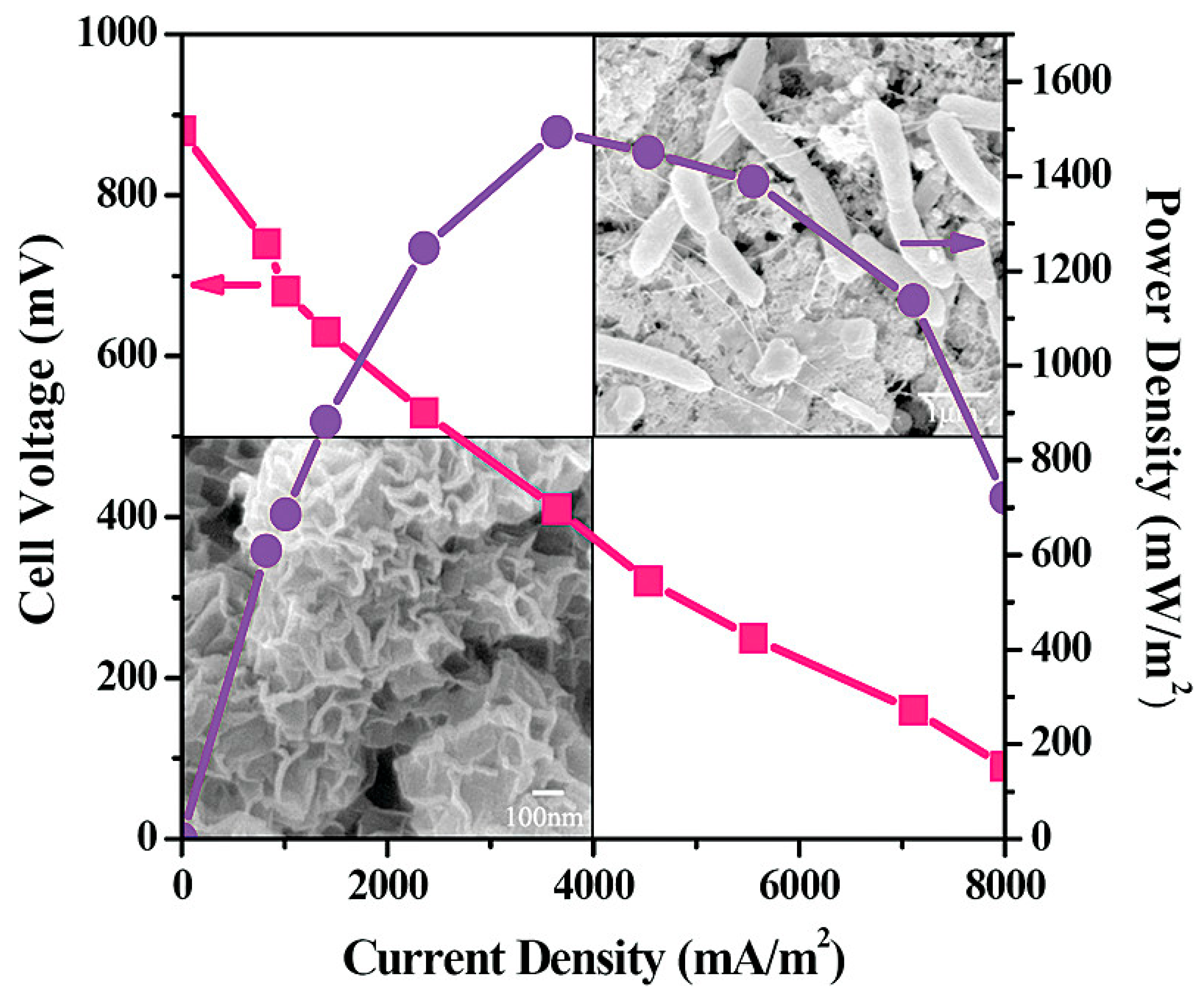 Molecules 27 07483 g004 Molecules 27 07483 g004