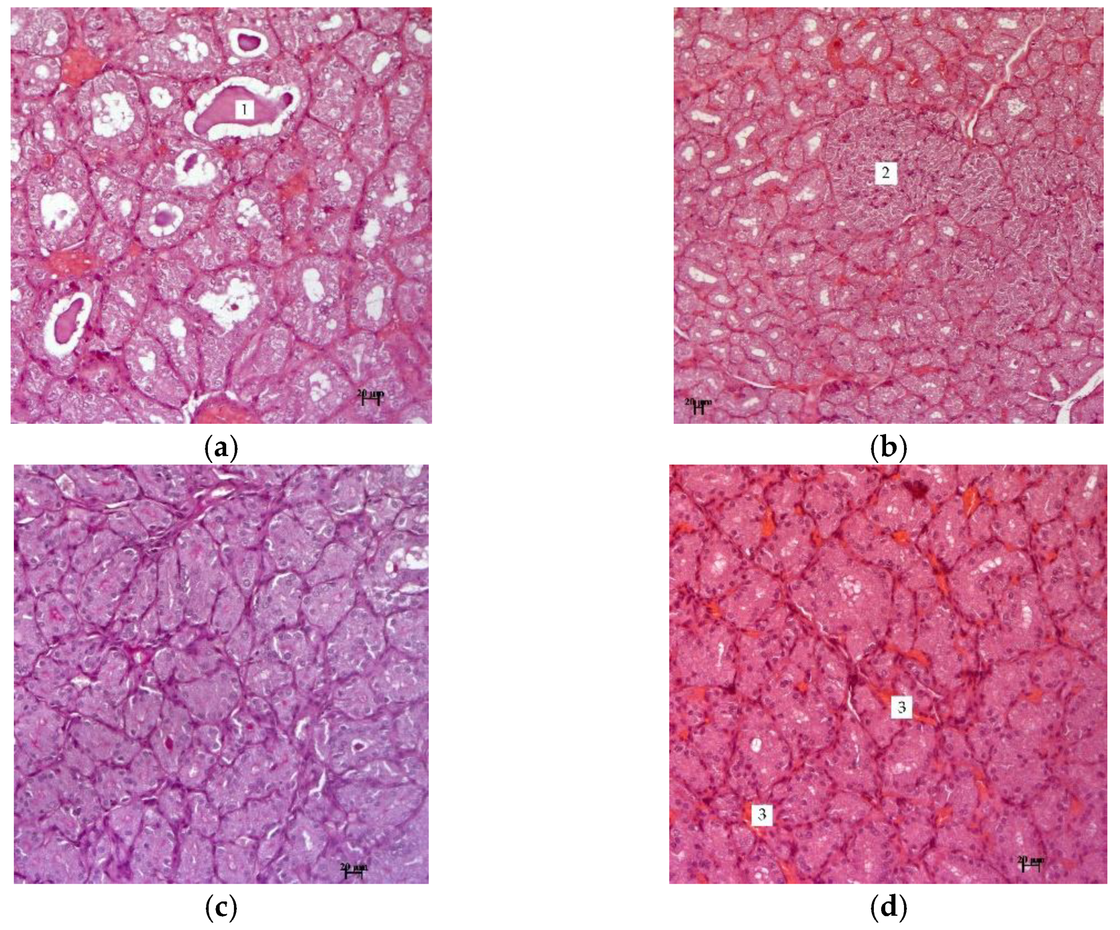 Molecules 27 07487 g003