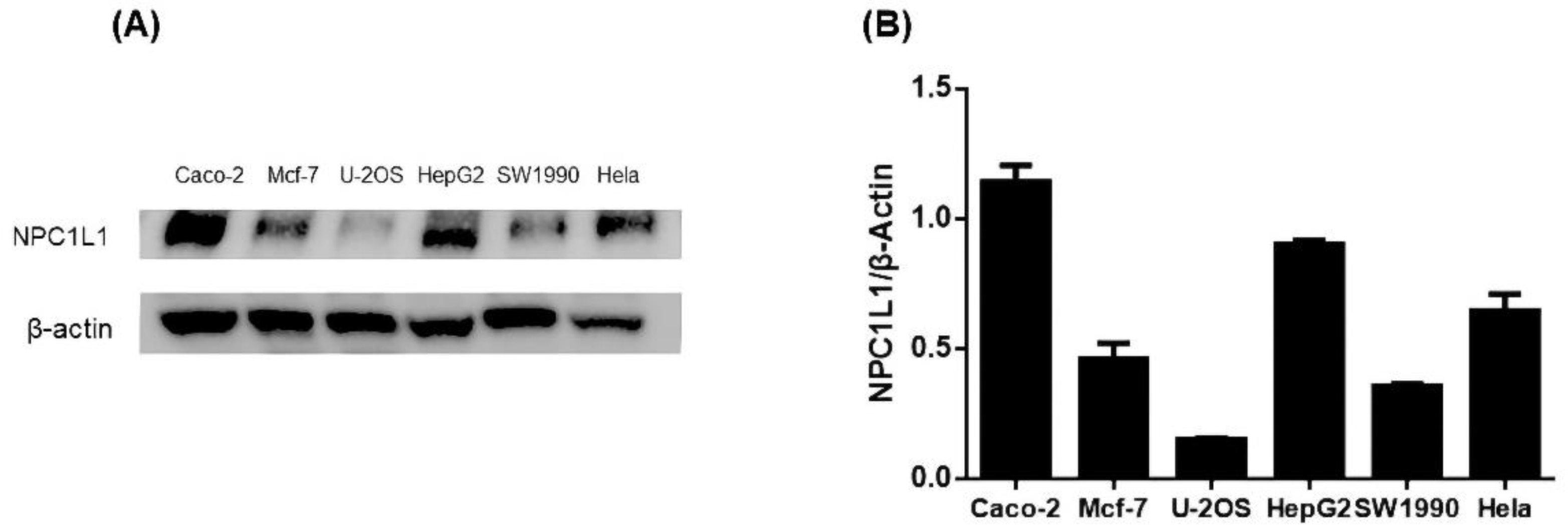 Molecules 27 07494 g003