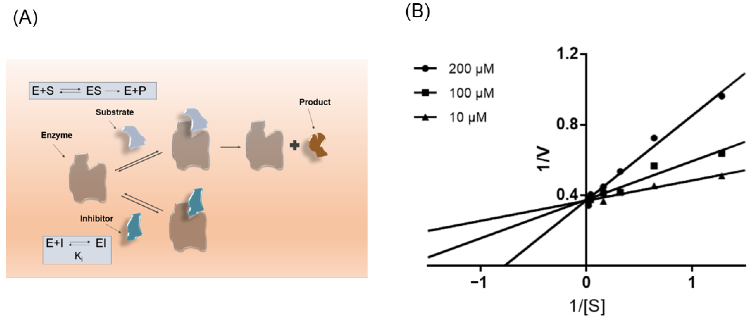 Molecules 27 07494 g006