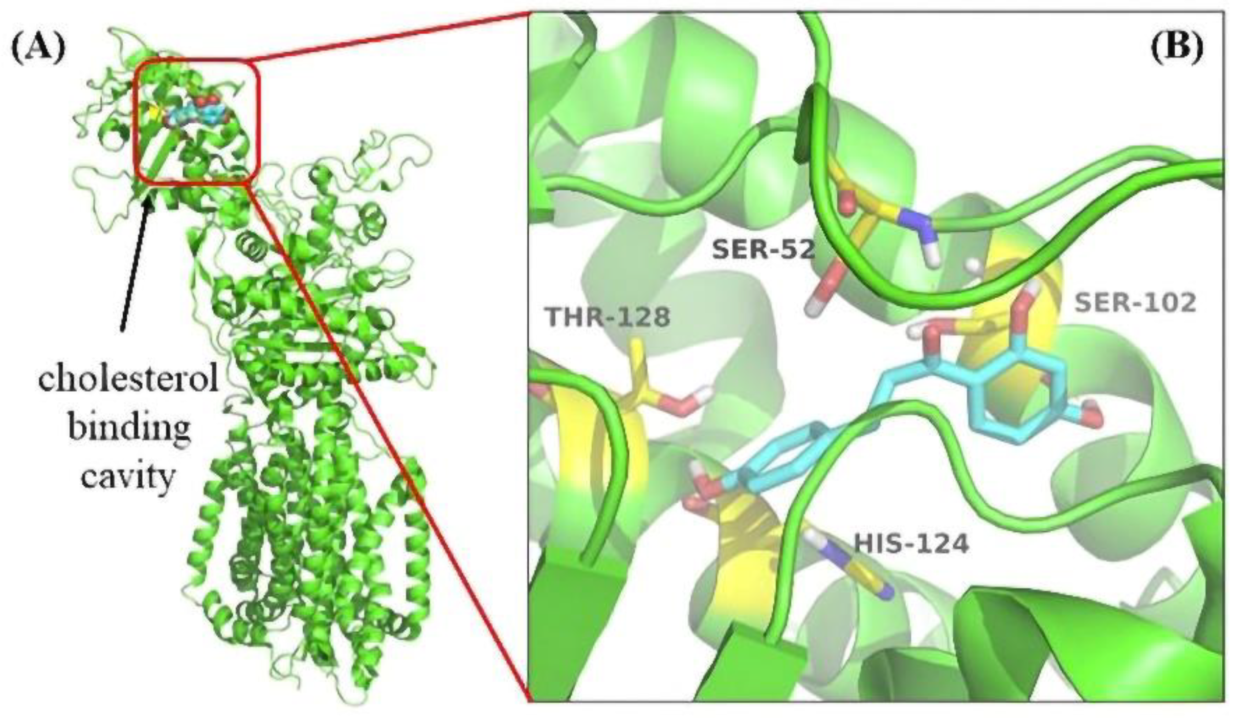 Molecules 27 07494 g007