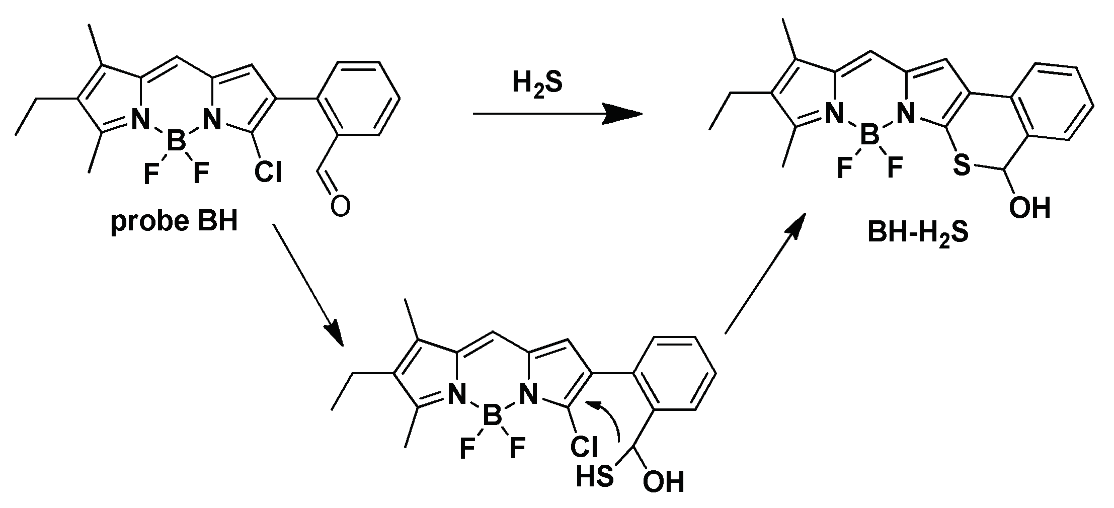 Molecules 27 07499 sch002
