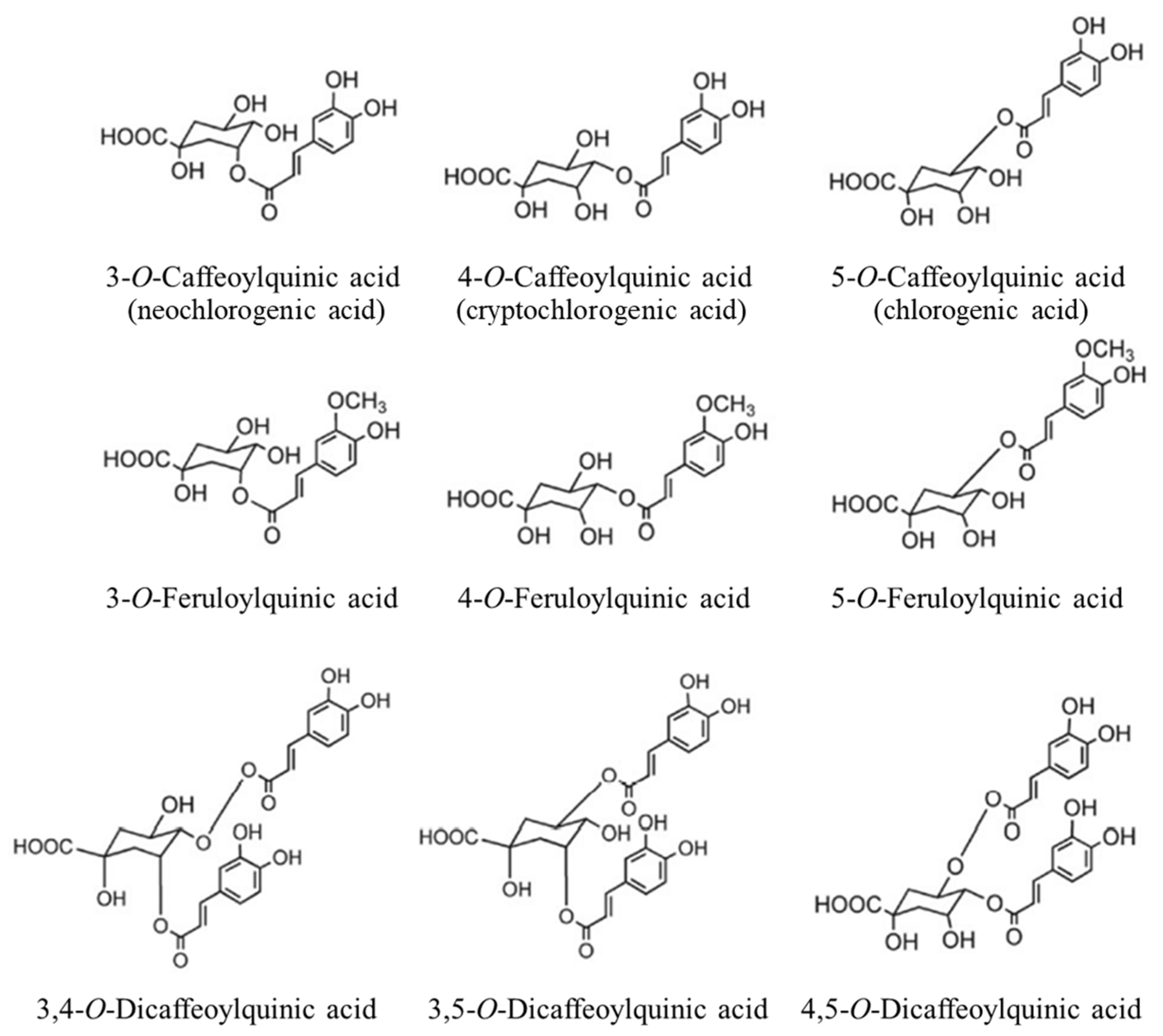 Molecules 27 07504 g001
